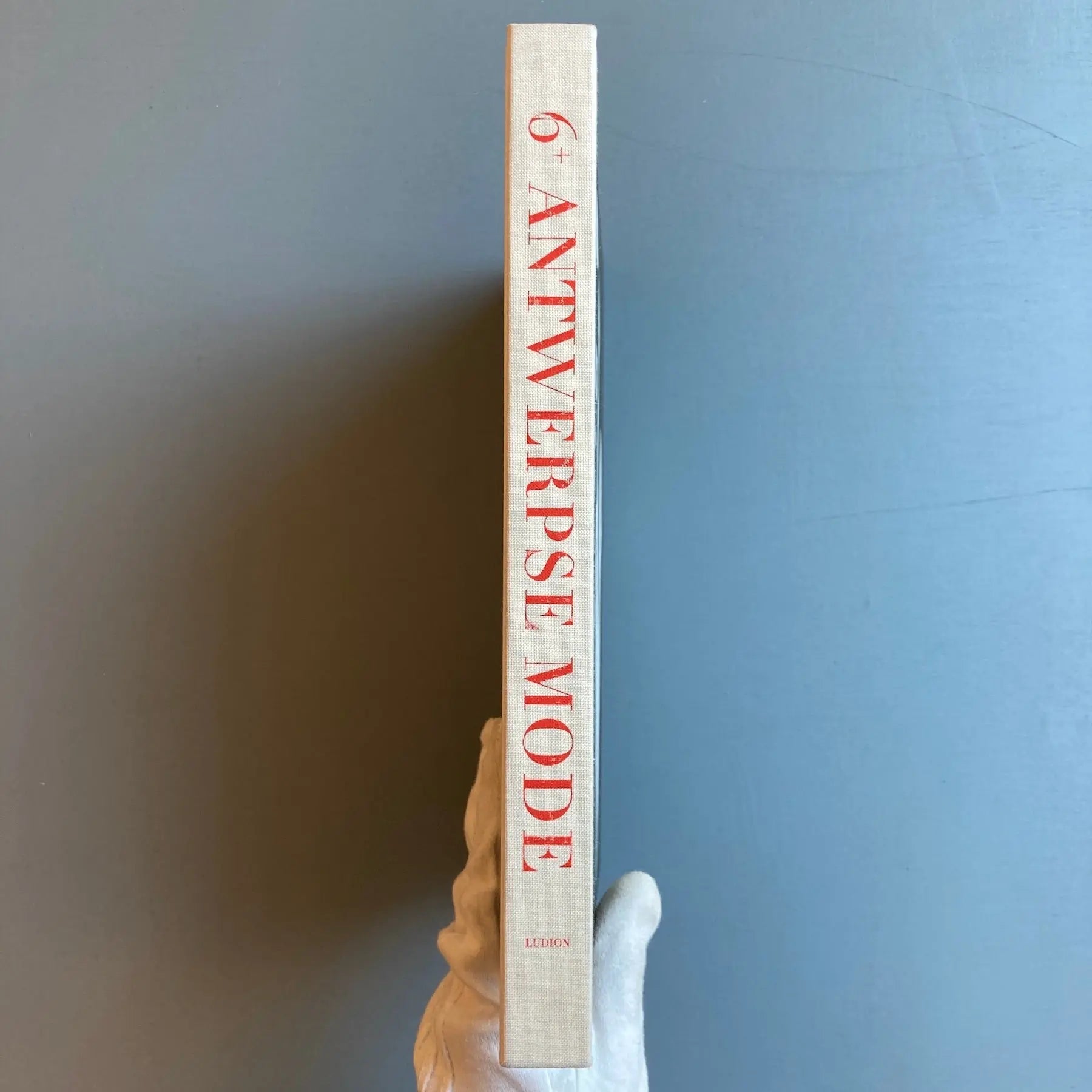 6+ Antwerpse Mode DUTCH - Ludion 2007 - Saint-Martin Bookshop