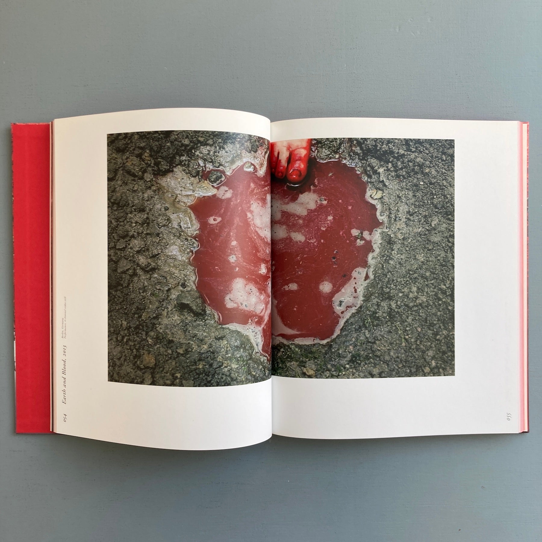 Chiharu　1冊 Chiharu Shiota - The Key in the Hand - Distanz 2015 - Saint-Martin