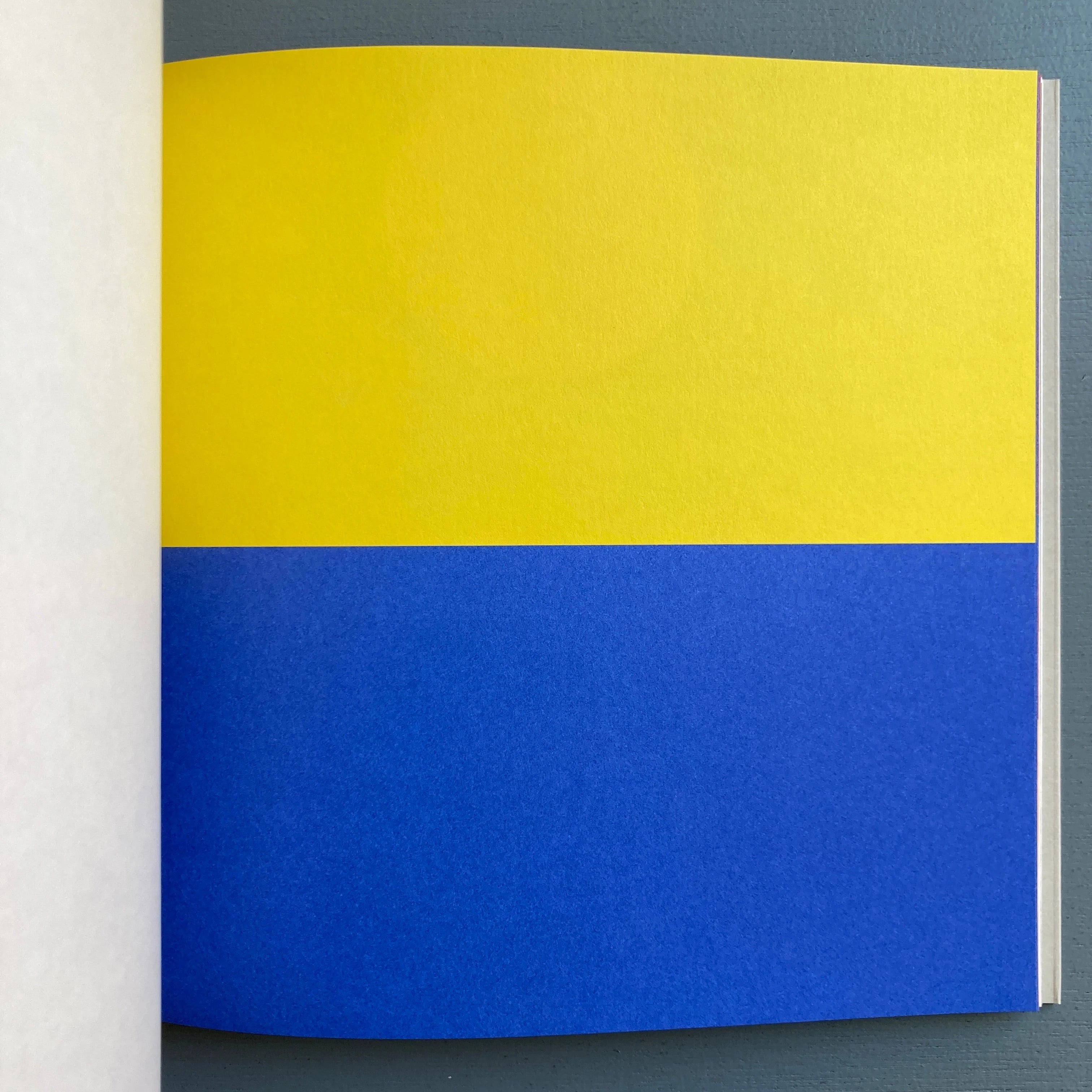 Ellsworth Kelly - Line Form Color - Harvard University - Saint 