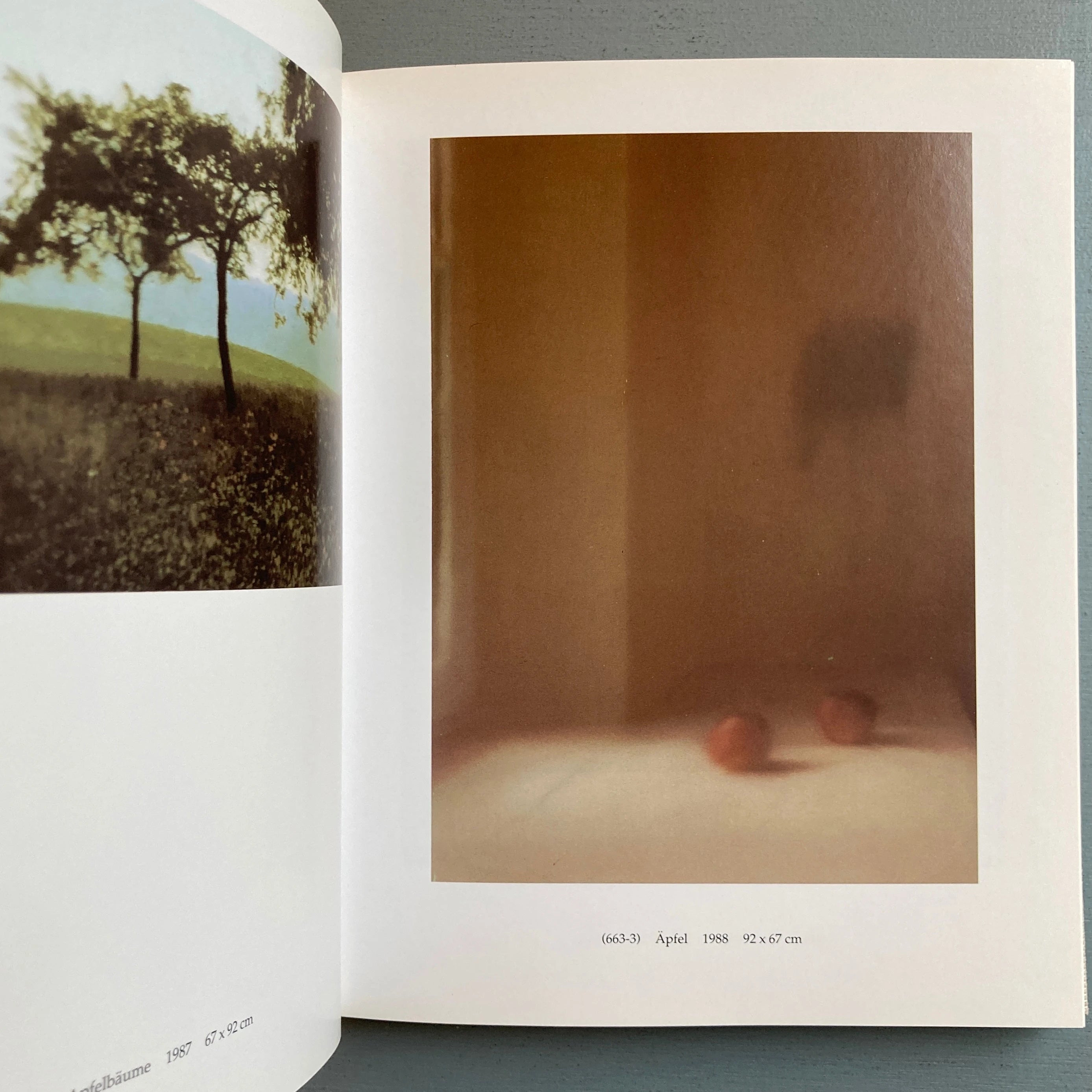 Gerhard Richter - 100 Bilder - Cantz 1996 - Saint-Martin