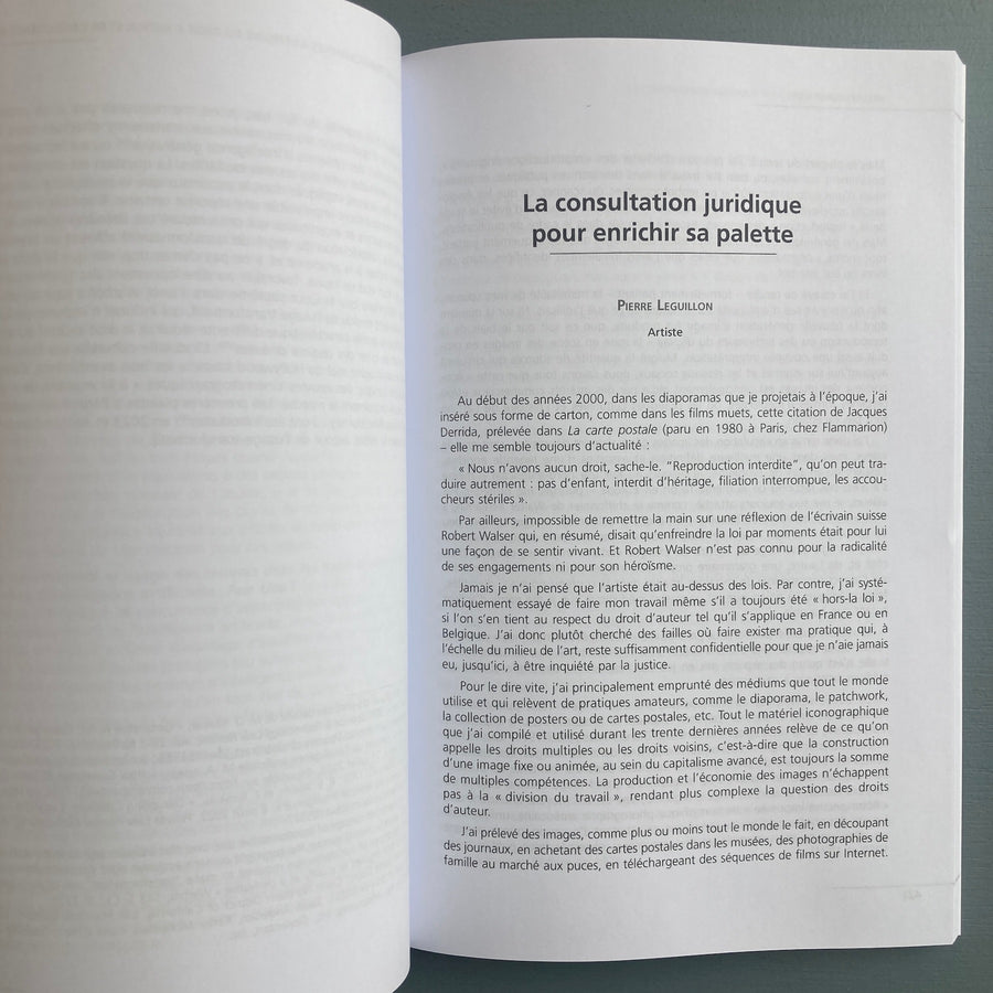 Sandrine Carneroli - Arts-Loi / Kunst Wet - Larcier 2024 - Saint-Martin Bookshop