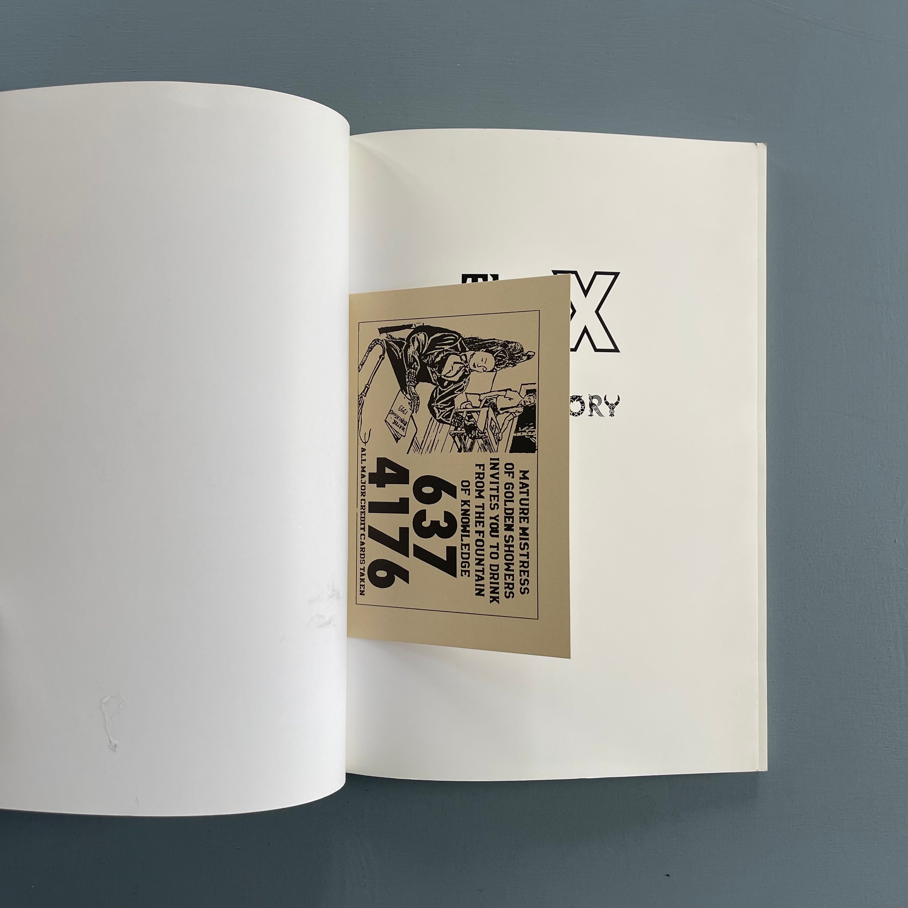 アート・デザイン・音楽 The X Directory:KinkCards 1984/1994 Pi34 The X Directory - Pi34 1993 - Saint-Martin Bookshop