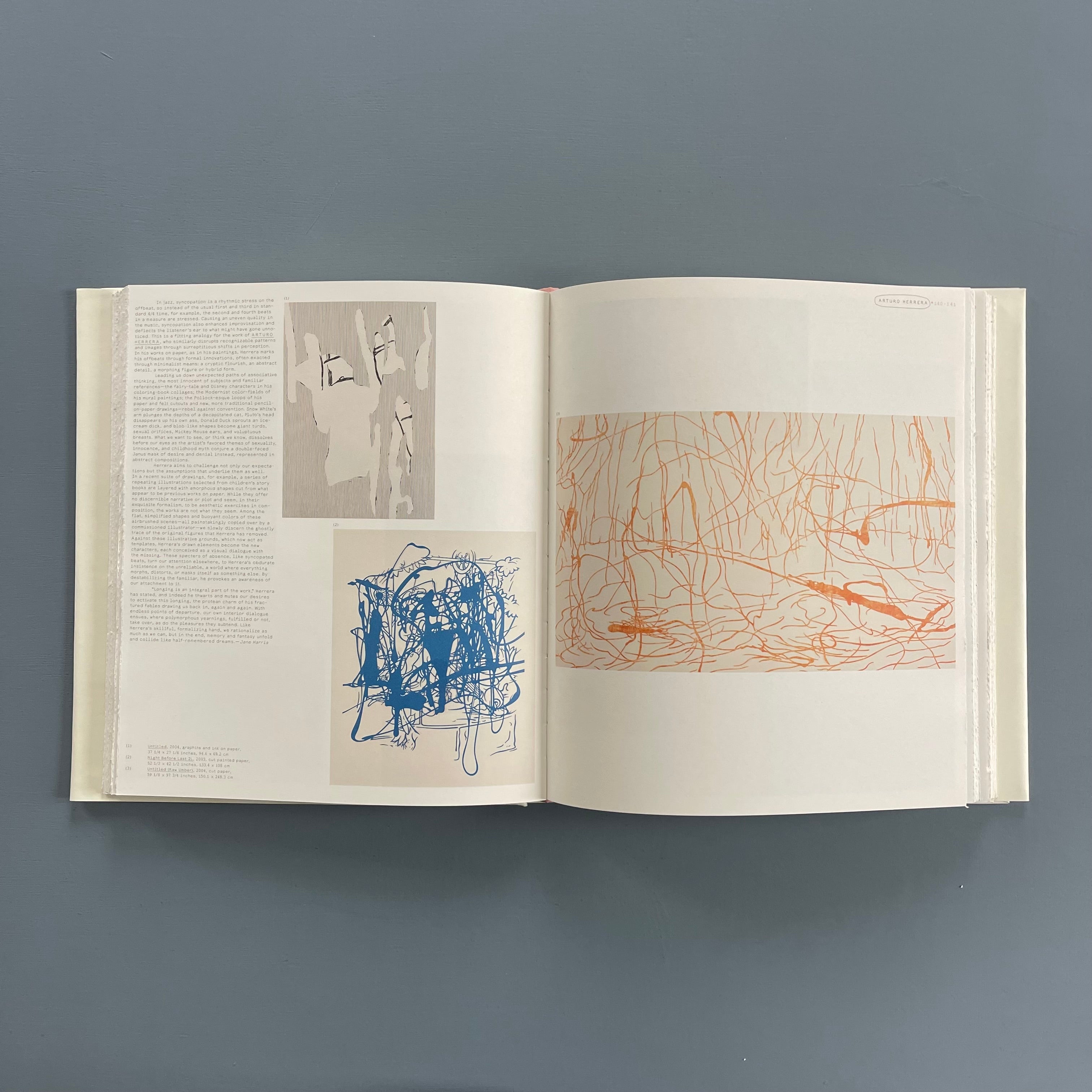 アート・デザイン・音楽 Vitamin D:New Perspectives in Drawing Vitamin D - New Perspectives in Drawing - Phaidon 2005