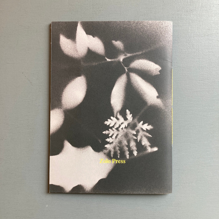 Gabriel Sierra - El Topo y la Tetera - Zolo Press 2019 - Saint-Martin Bookshop