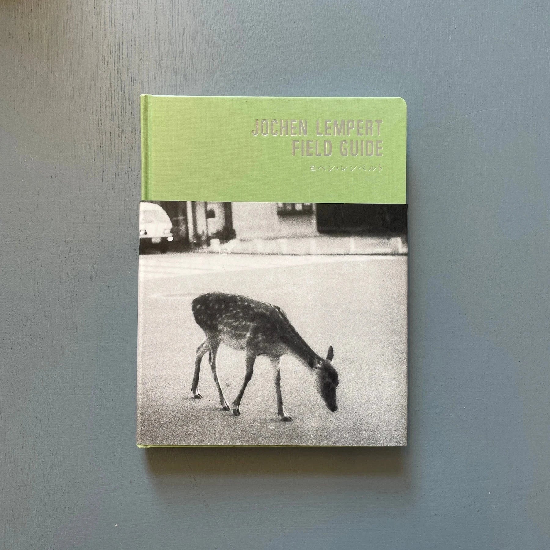 Jochen Lempert - Field Guide - Izu Photo Museum 2016 - Saint 