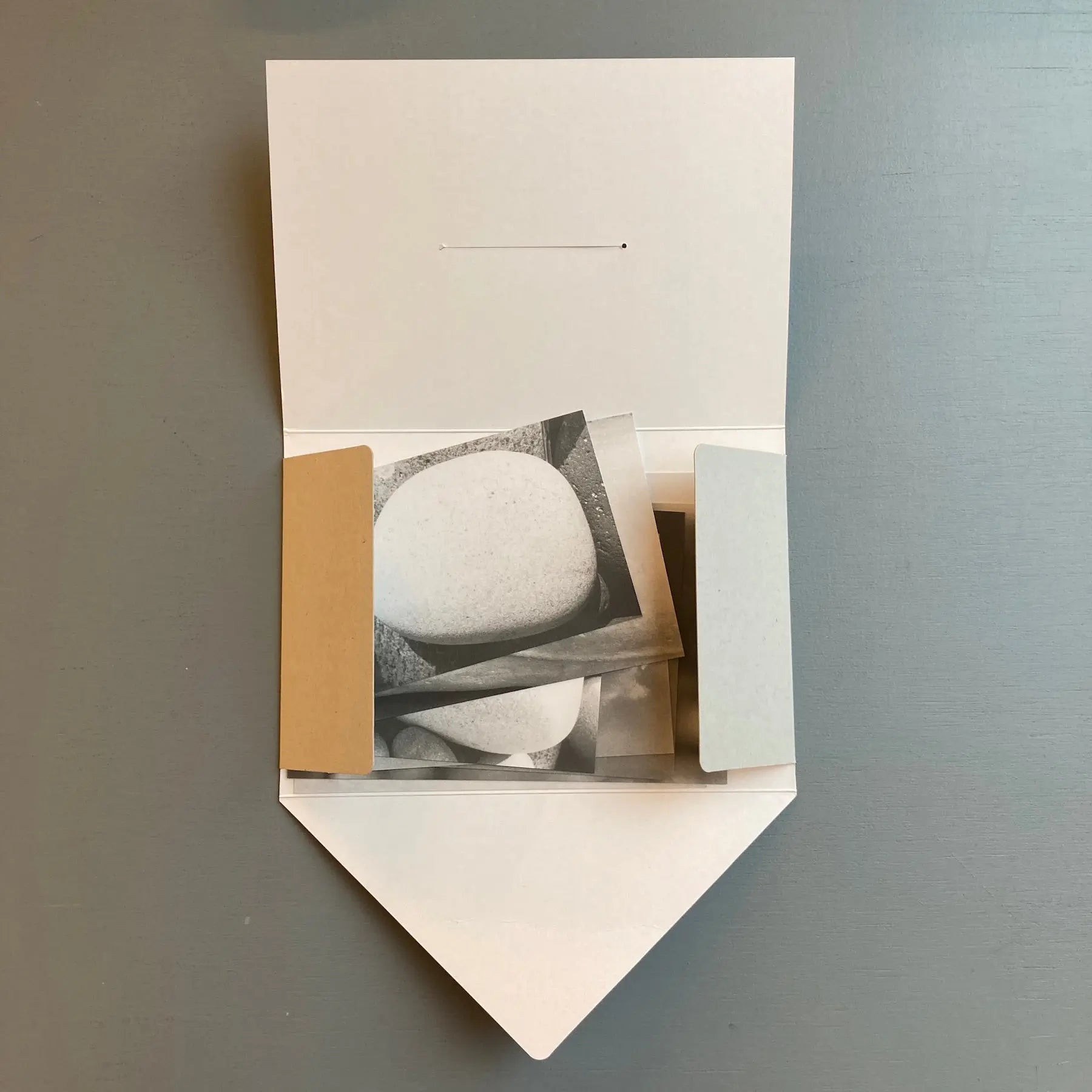 Jochen Lempert - A Field (8 Parts) - MACS 2023 - Saint