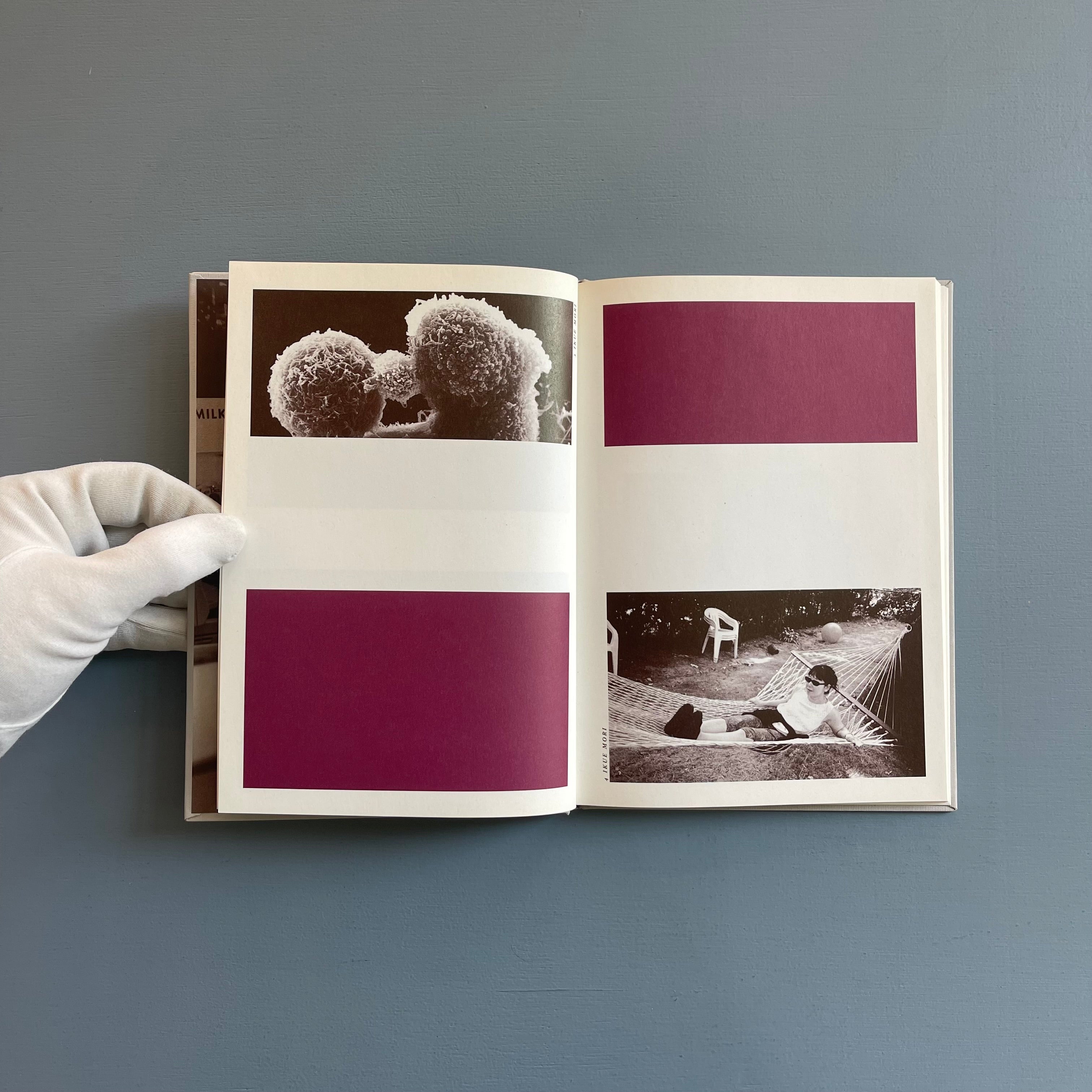 Kim's Bedroom - Purple Books 2000 - Saint-Martin Bookshop