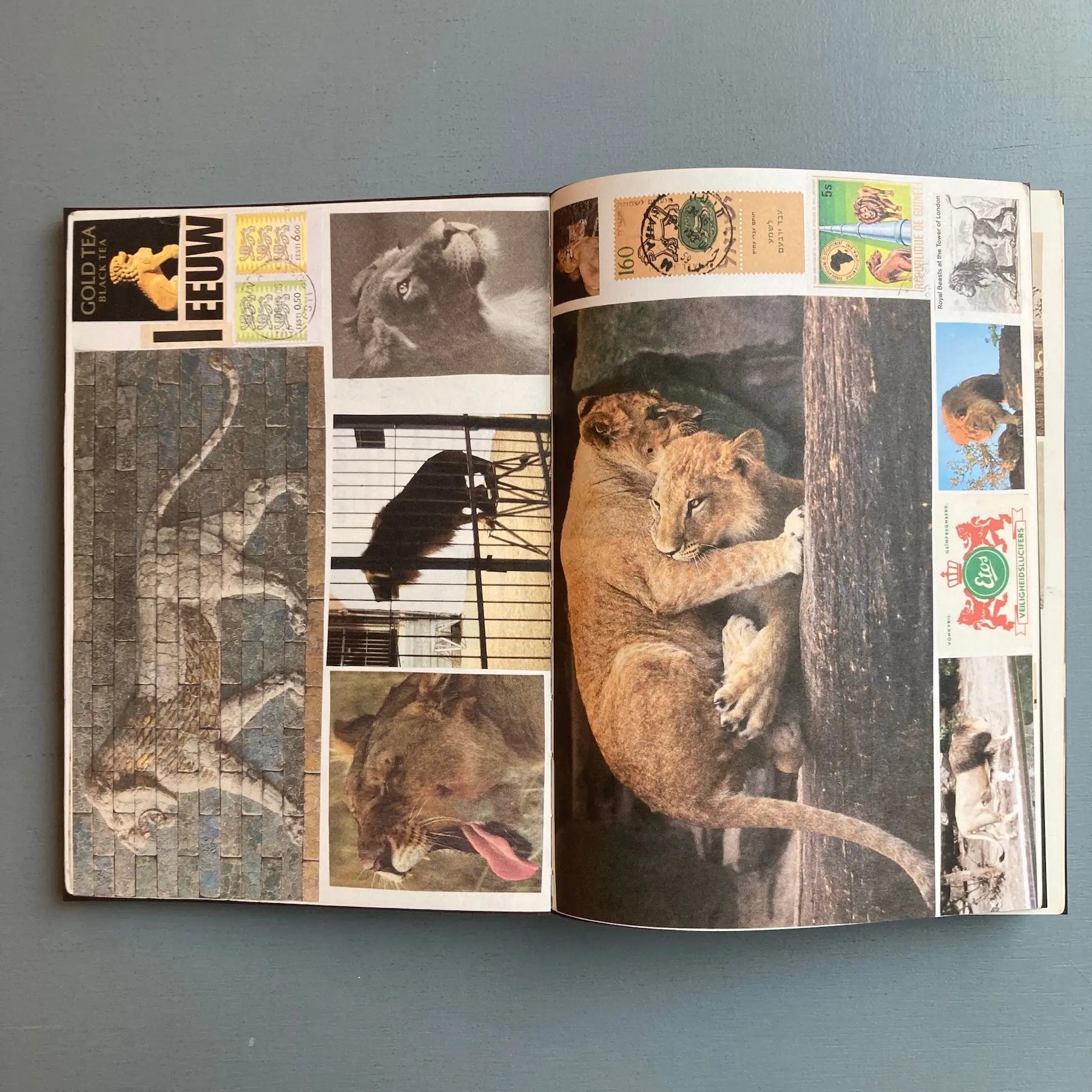 Lous Martens - Animal Books - Roma Publications 2024 - Saint