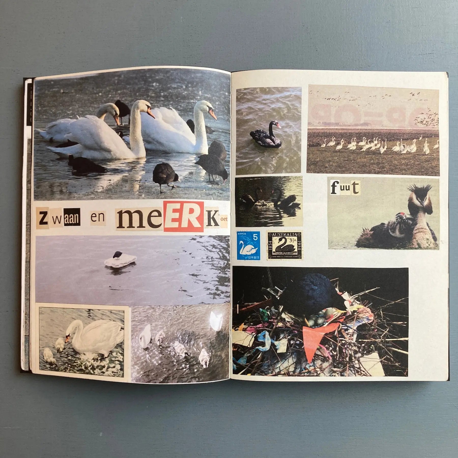 Lous Martens - Animal Books - Roma Publications 2024 - Saint