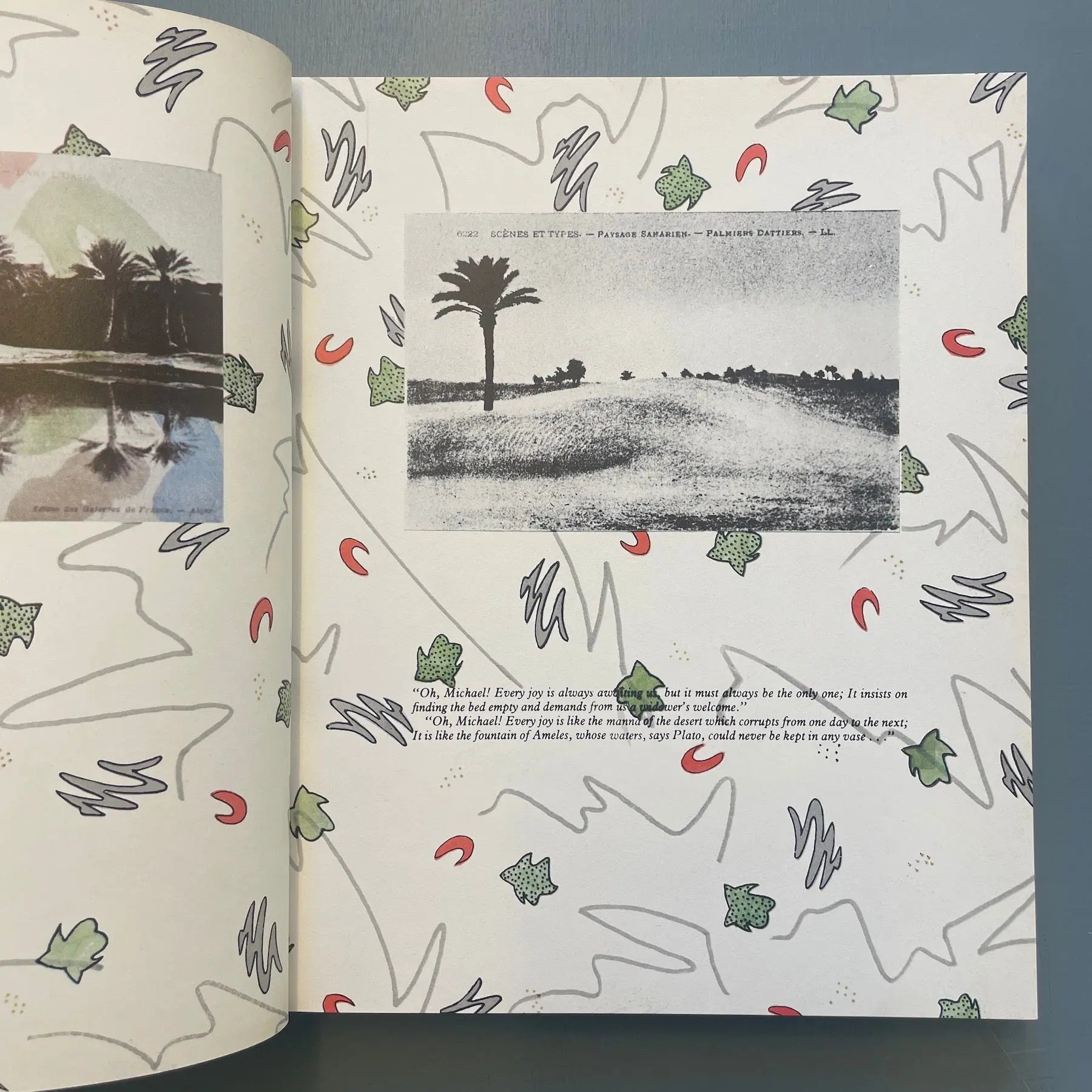 Marc Camille Chaimowicz - Café du Rêve - Editions du Regard 1991