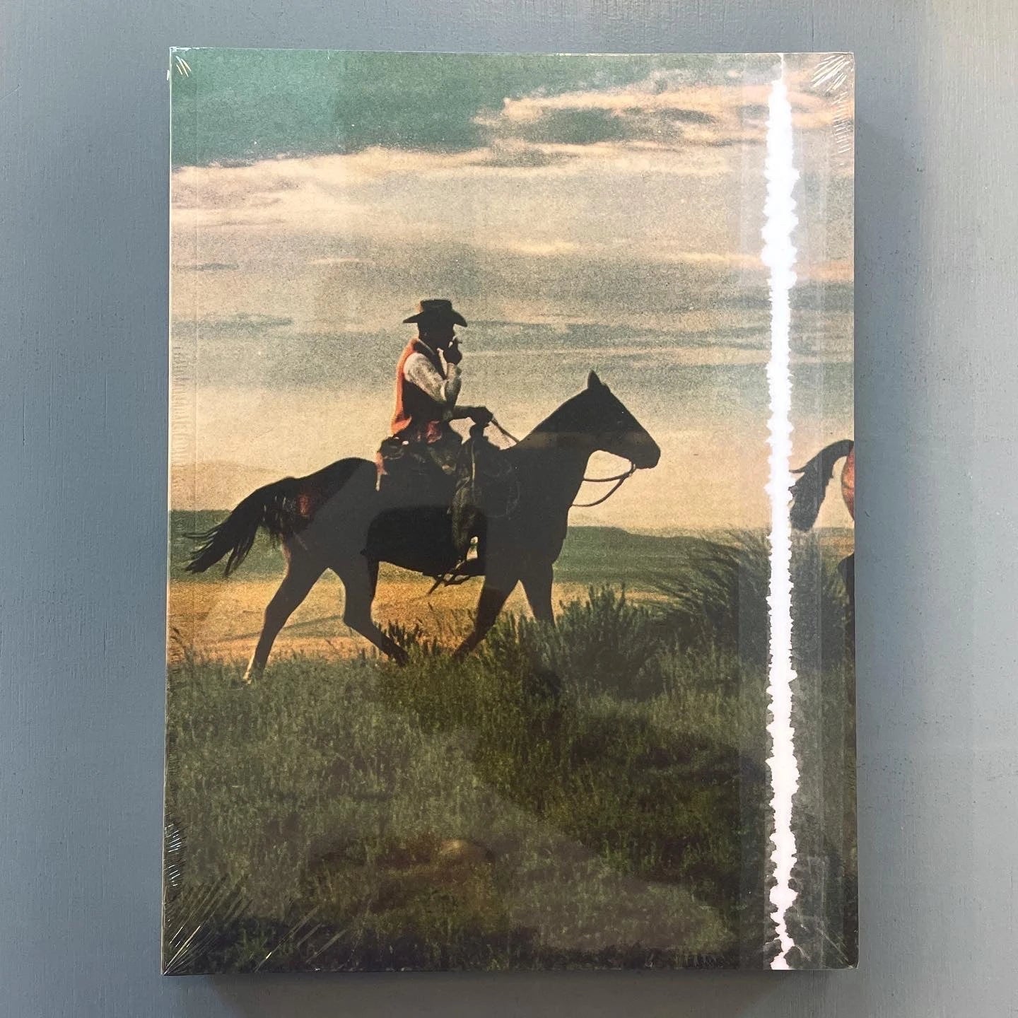 Richard Prince - Cowboy - DelMonico 2020 - Saint-Martin Bookshop