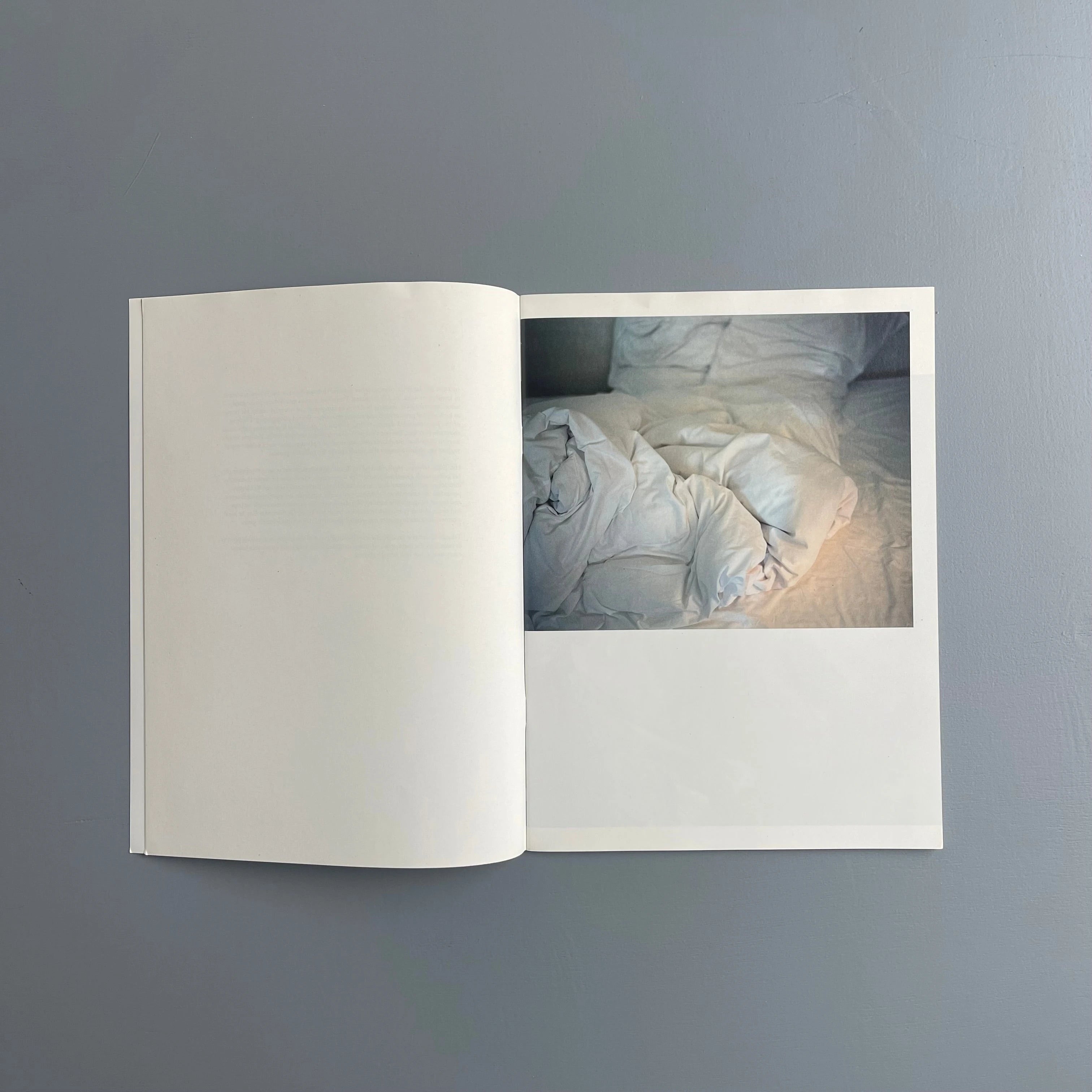 Takashi Homma - Landscapes - Purple Book 2016 - Saint-Martin Bookshop