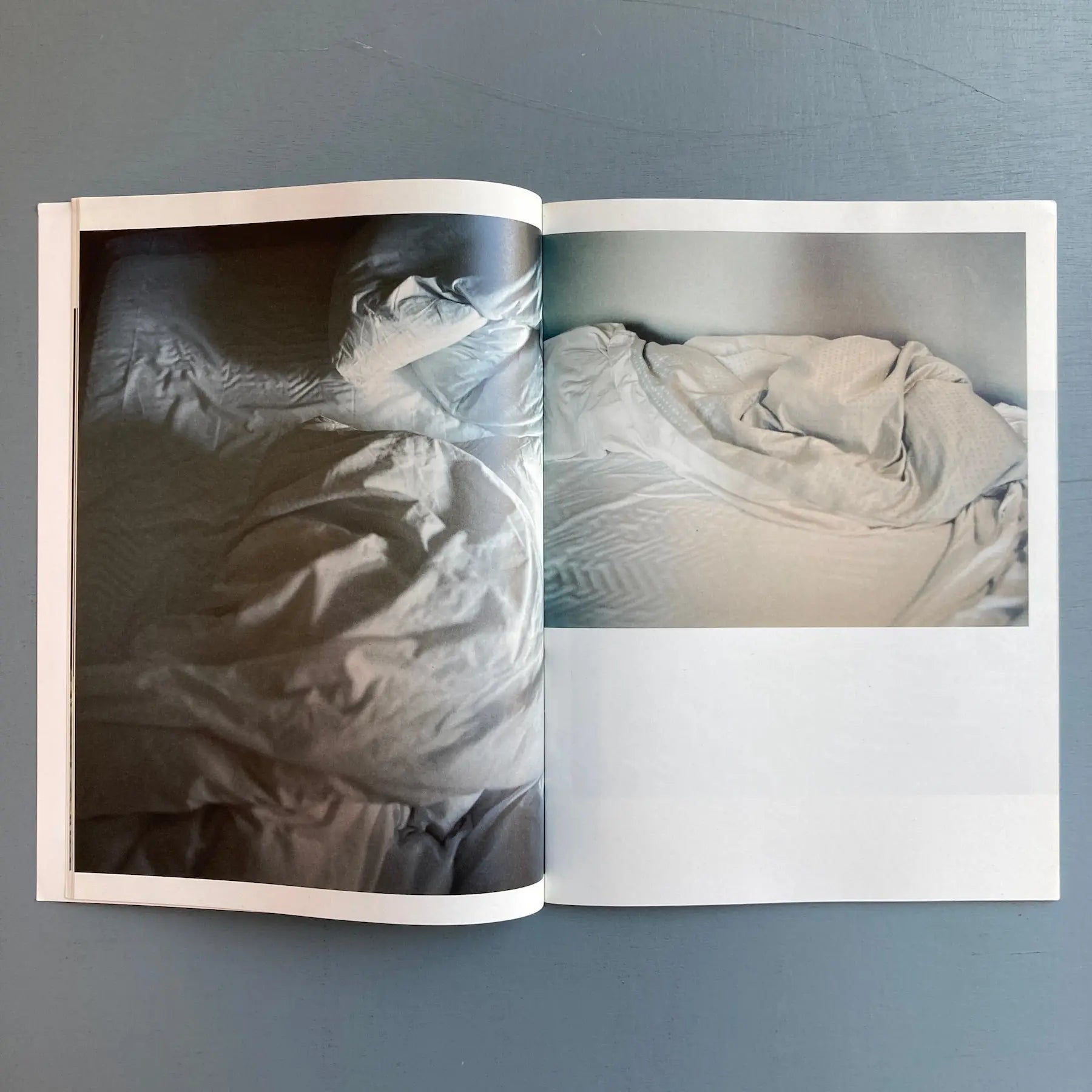 The Takashi Homma Purple Book - Landscapes - Fall/Winter 2016-2017