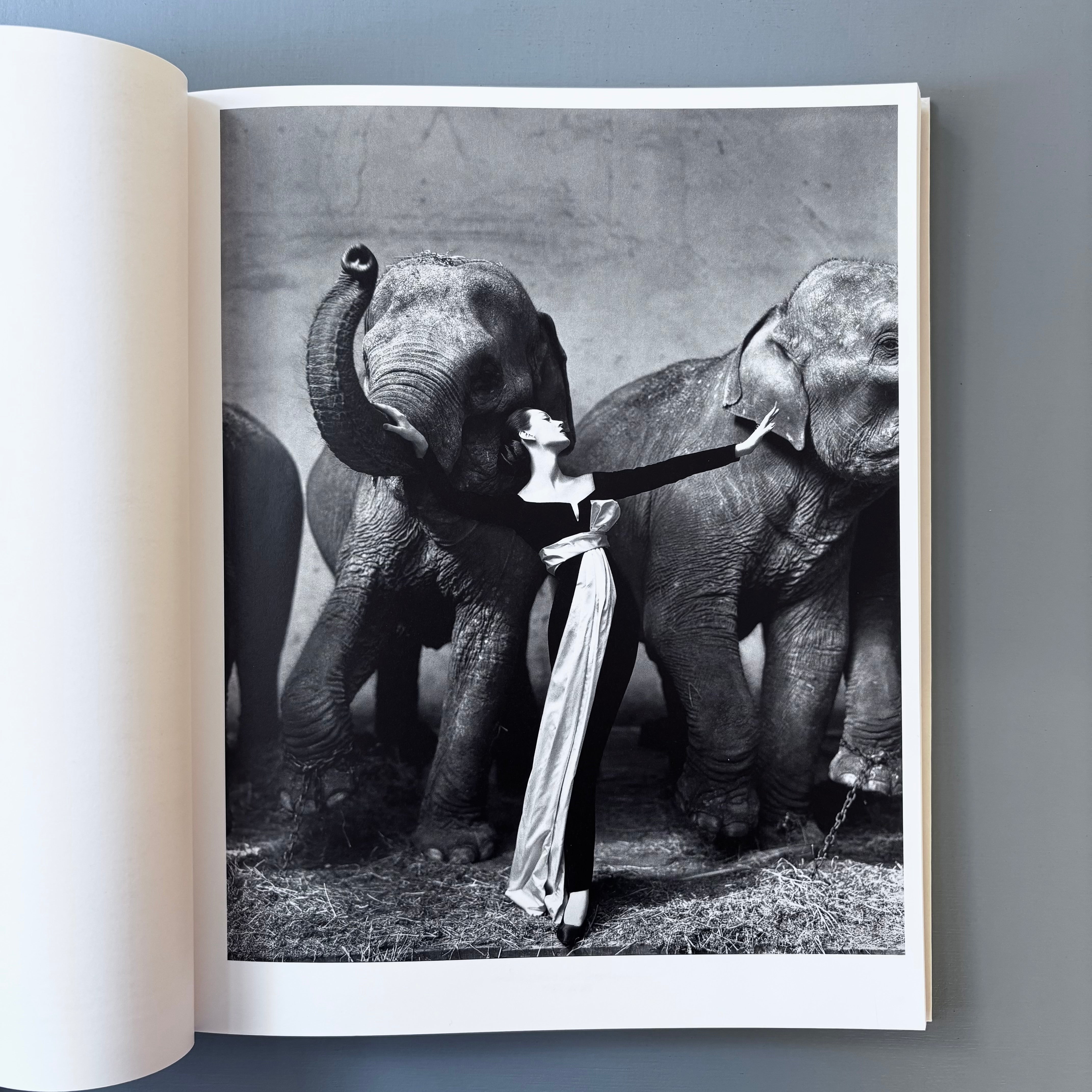 Yves Saint Laurent and Photography - Musée Yves Saint Laurent