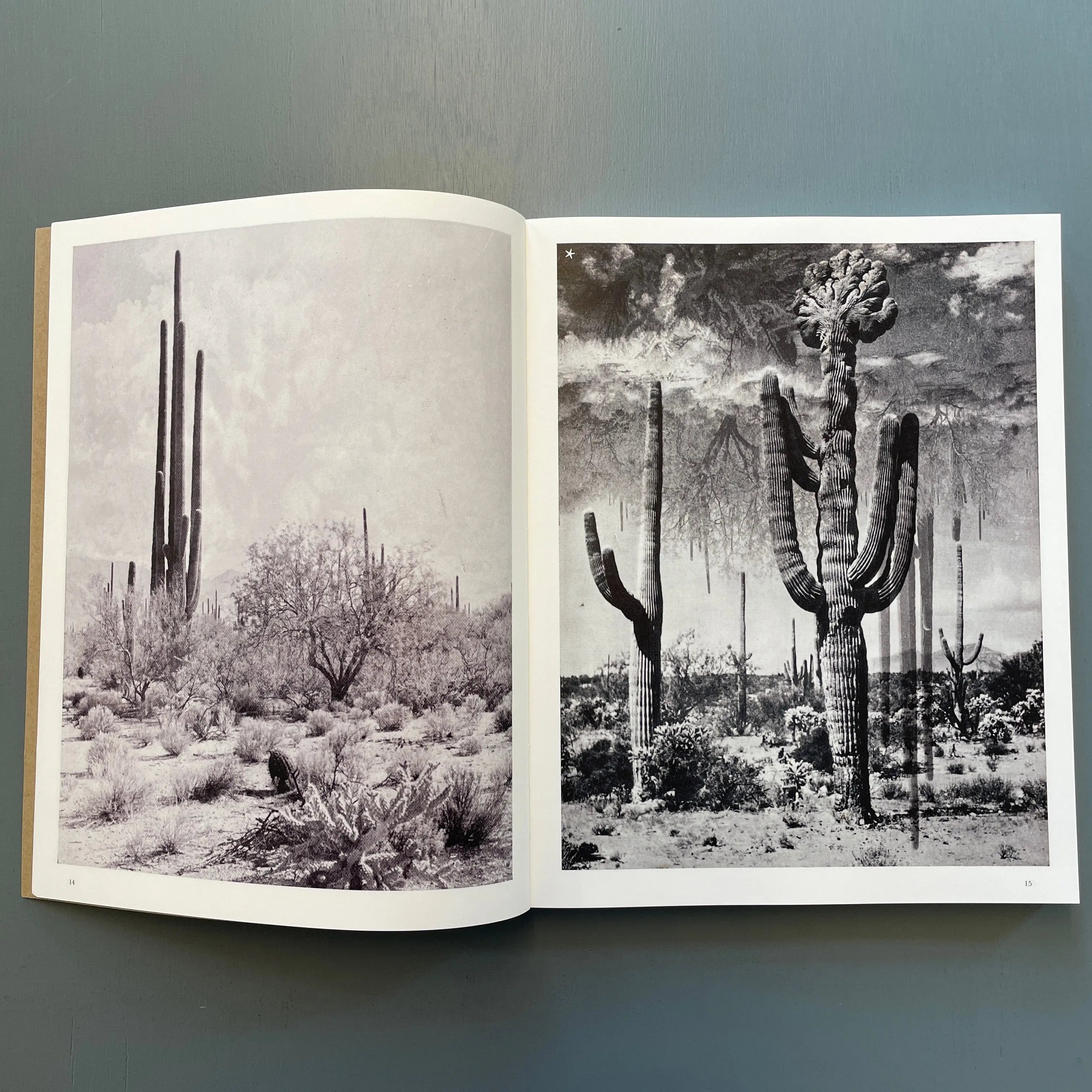 Batia Suter - Hexamiles (Mont-Voisin) - Roma Publications 2019