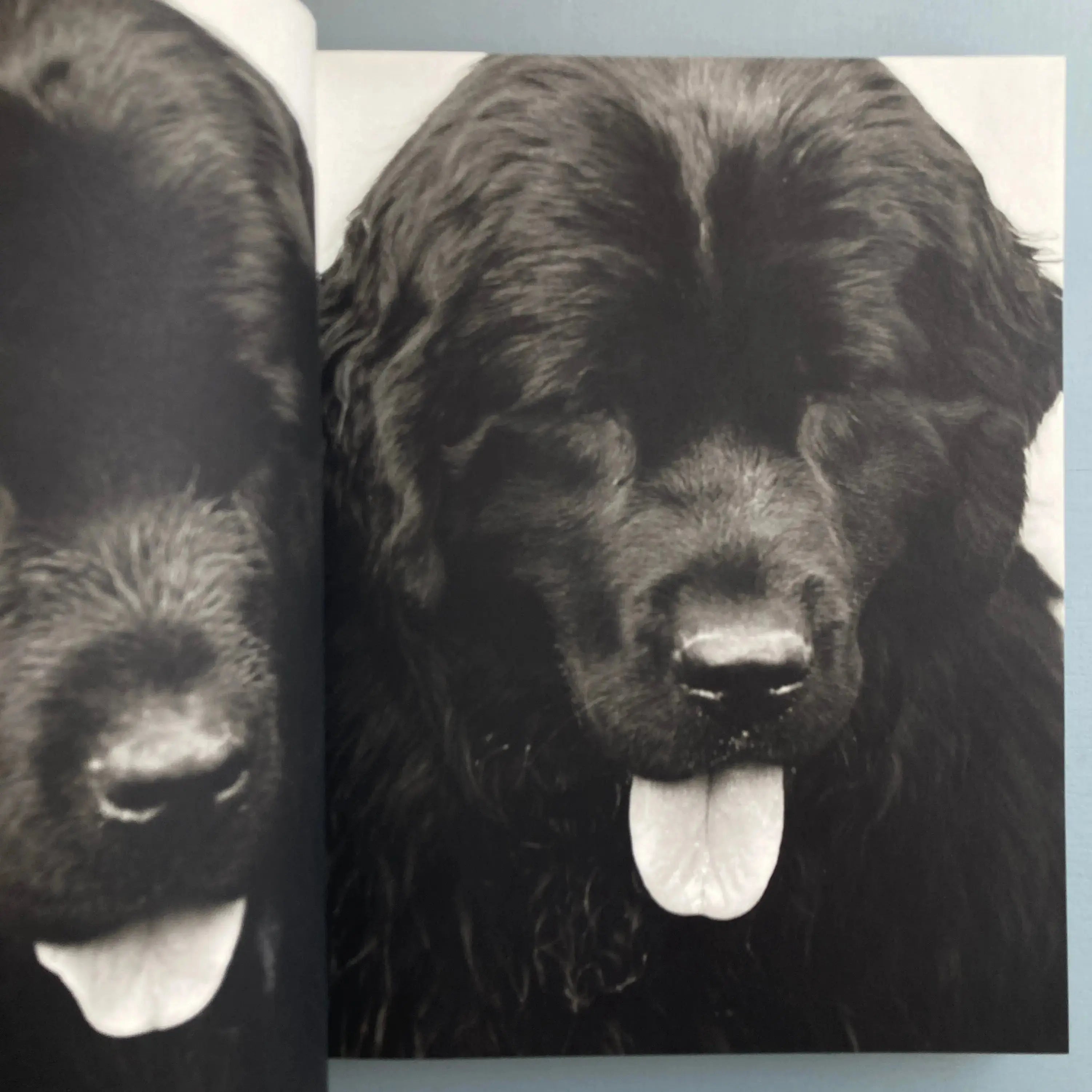 Bruce Weber - Gentle Giants - Bulfinch 1994