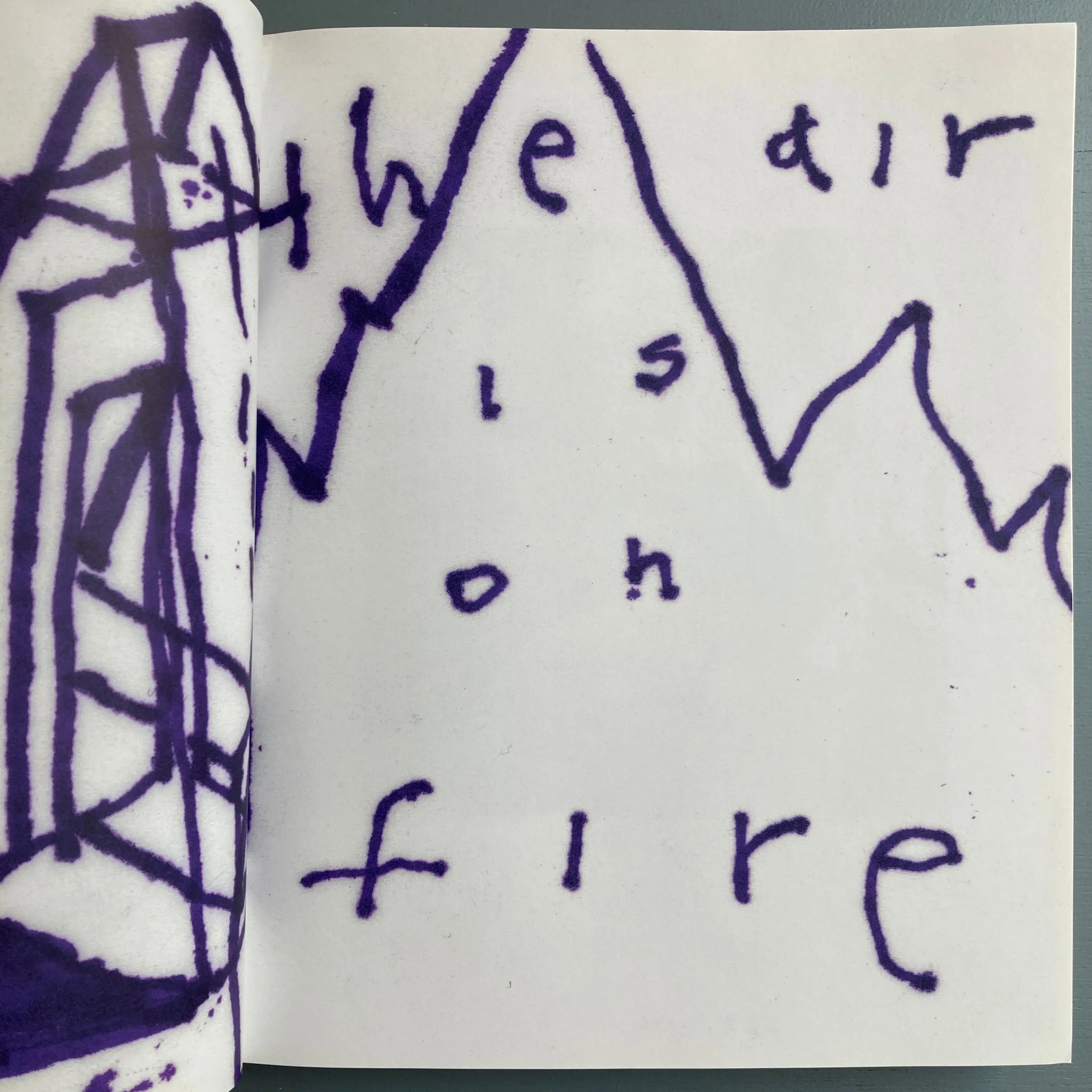 David Lynch - The air is on fire - Xavier Barral 2007 - Saint