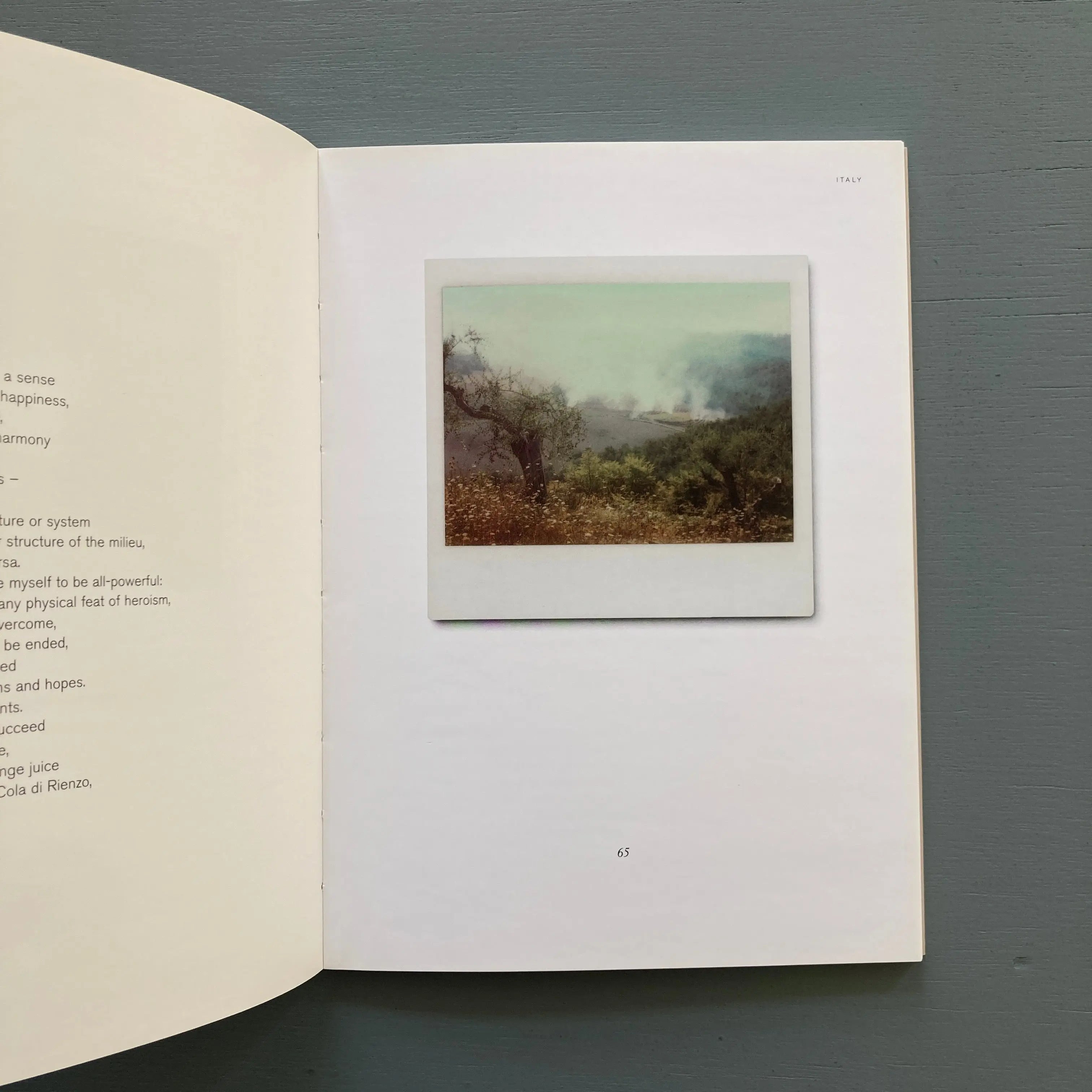 ThamesHudson《TA790》Instant Light Tarkovsky Polaroids - 洋書