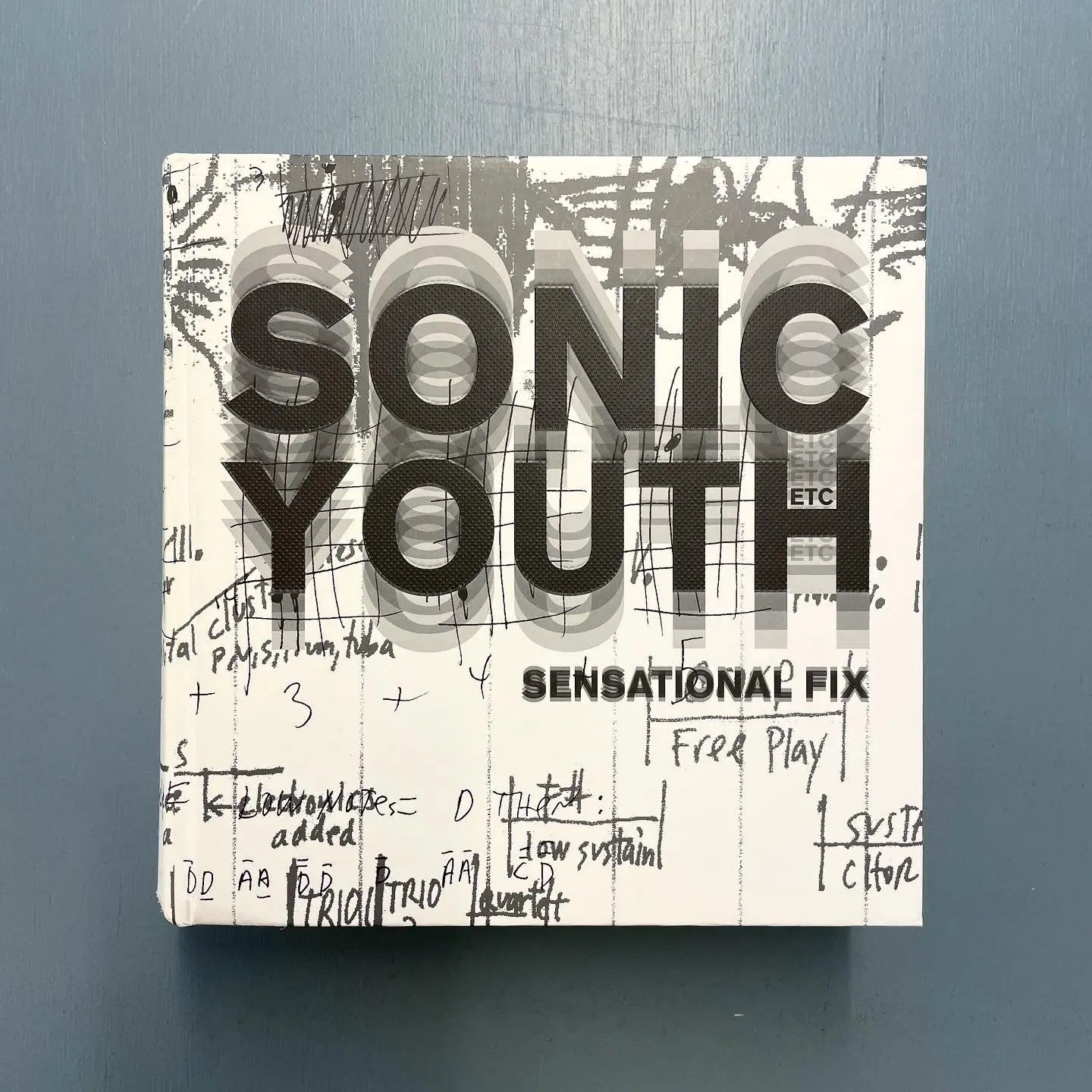 Sonic Youth - Sensational Fix - Life 2008 - Saint-Martin Bookshop
