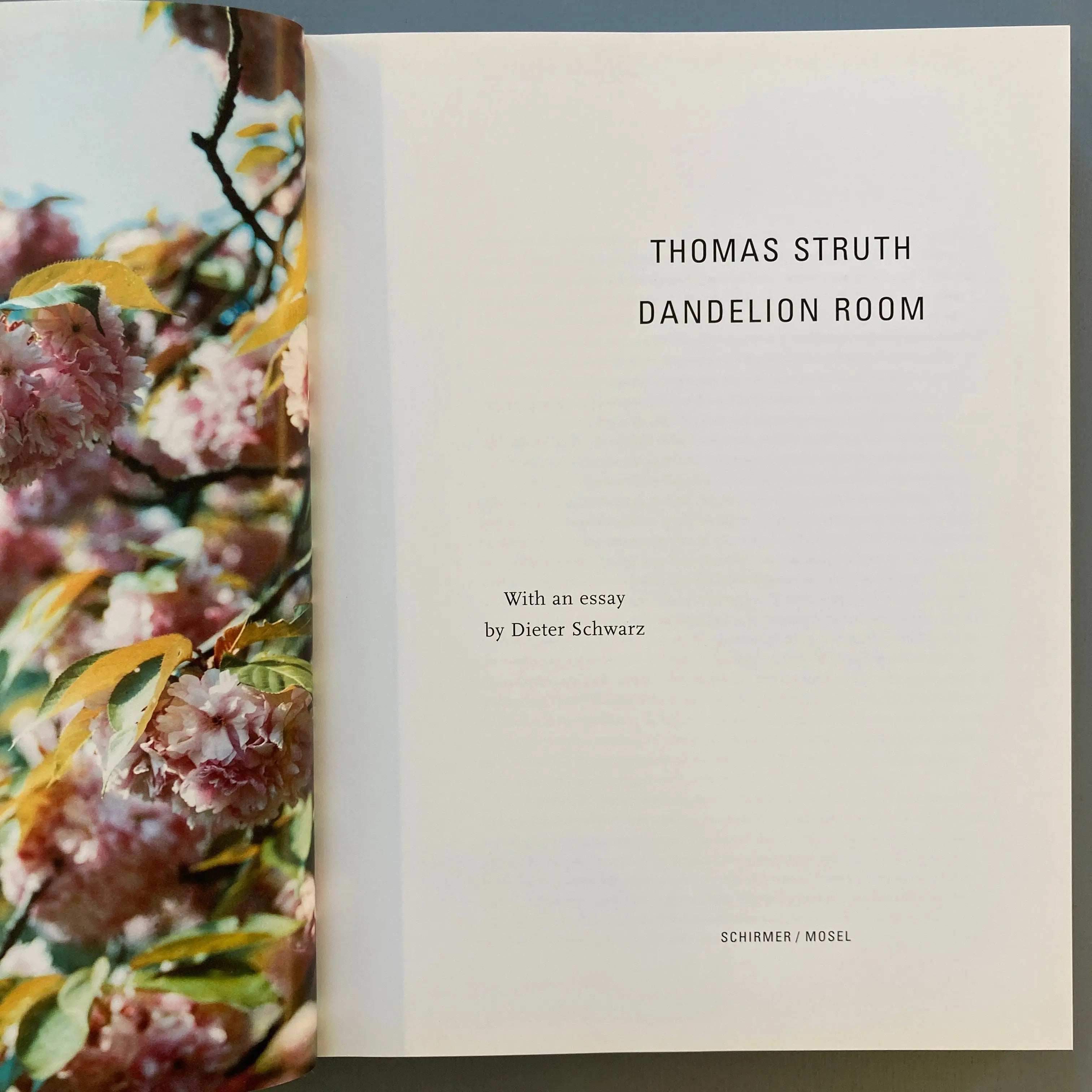 thomas struth:Dandelion Room/写真集 作品集 洋書 Thomas Struth - Dandelion Room - Schirmer/Mosel 2001 - Saint