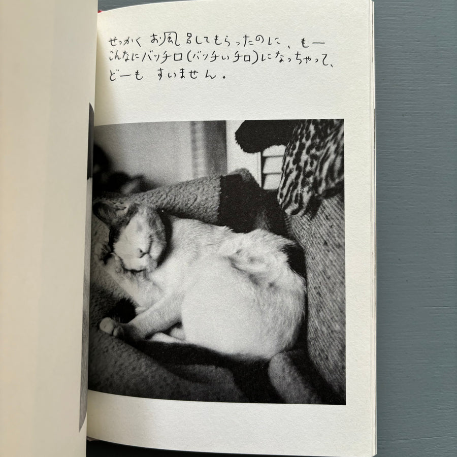 Nobuyoshi Araki - Chiro, My Love - Heibonsha Lt 1994 - Saint-Martin Bookshop