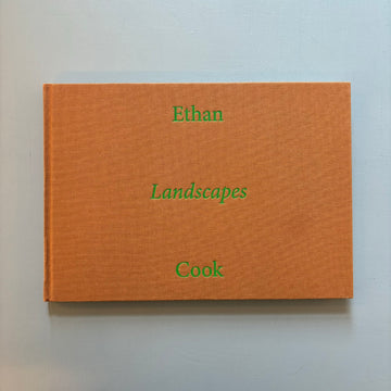 Ethan Cook - Landscapes - Nino Mier Books 2022 - Saint-Martin Bookshop