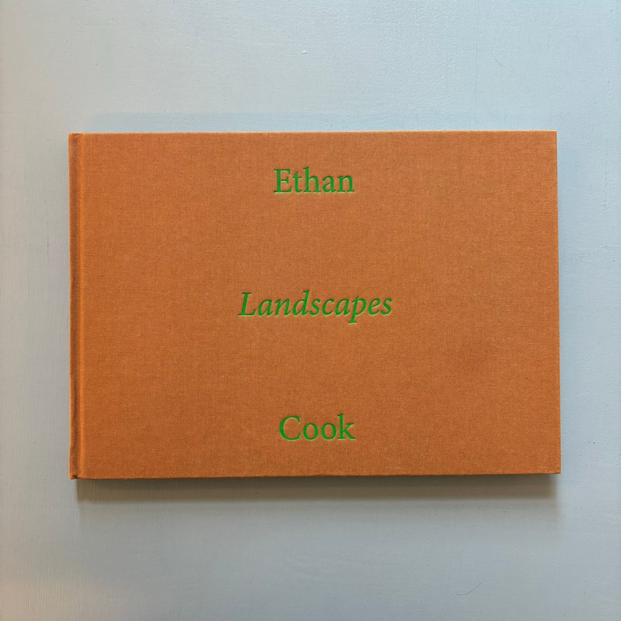 Ethan Cook - Landscapes - Nino Mier Books 2022 - Saint-Martin Bookshop