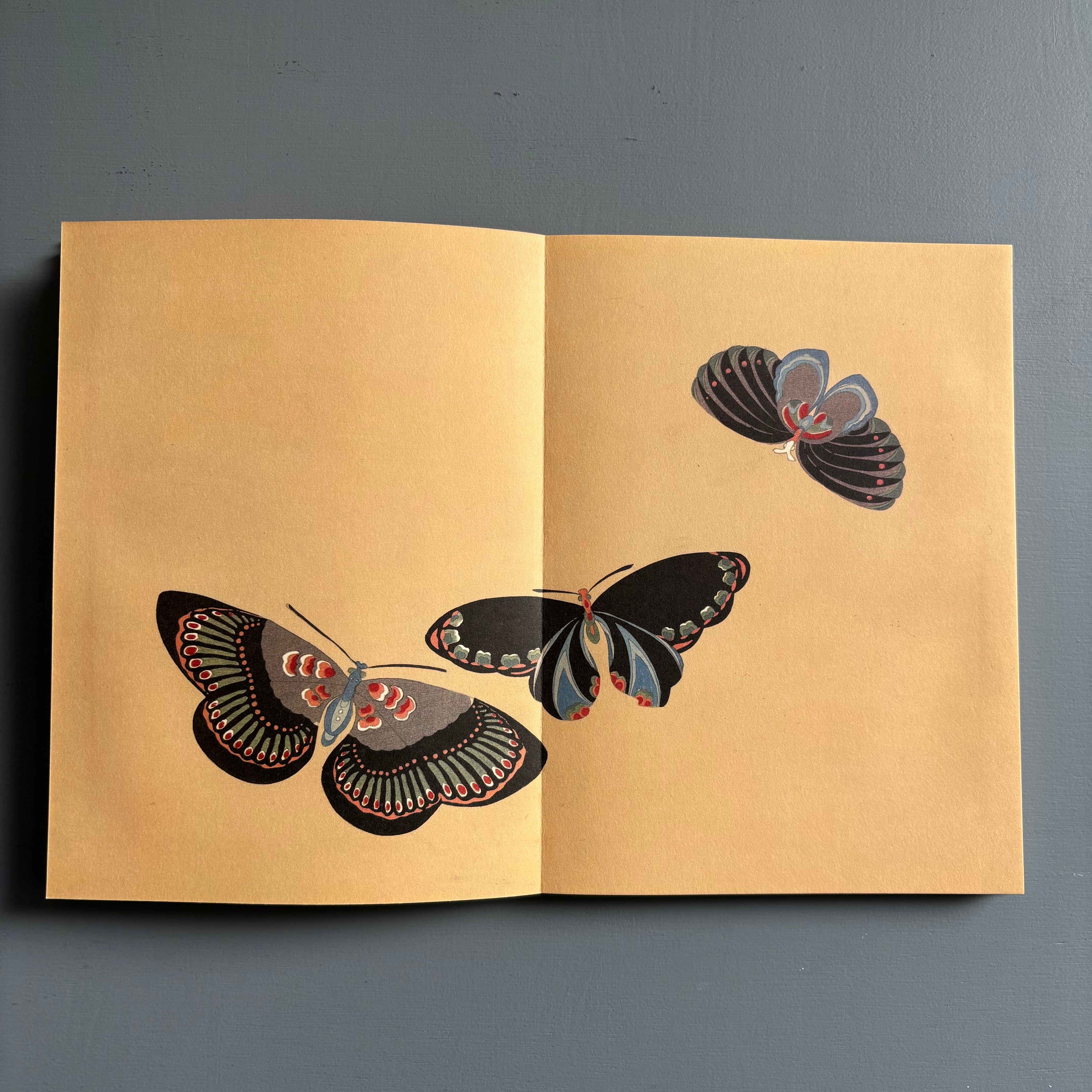 A Flight of Butterflies - The Metropolitan Museum of Art/Thames