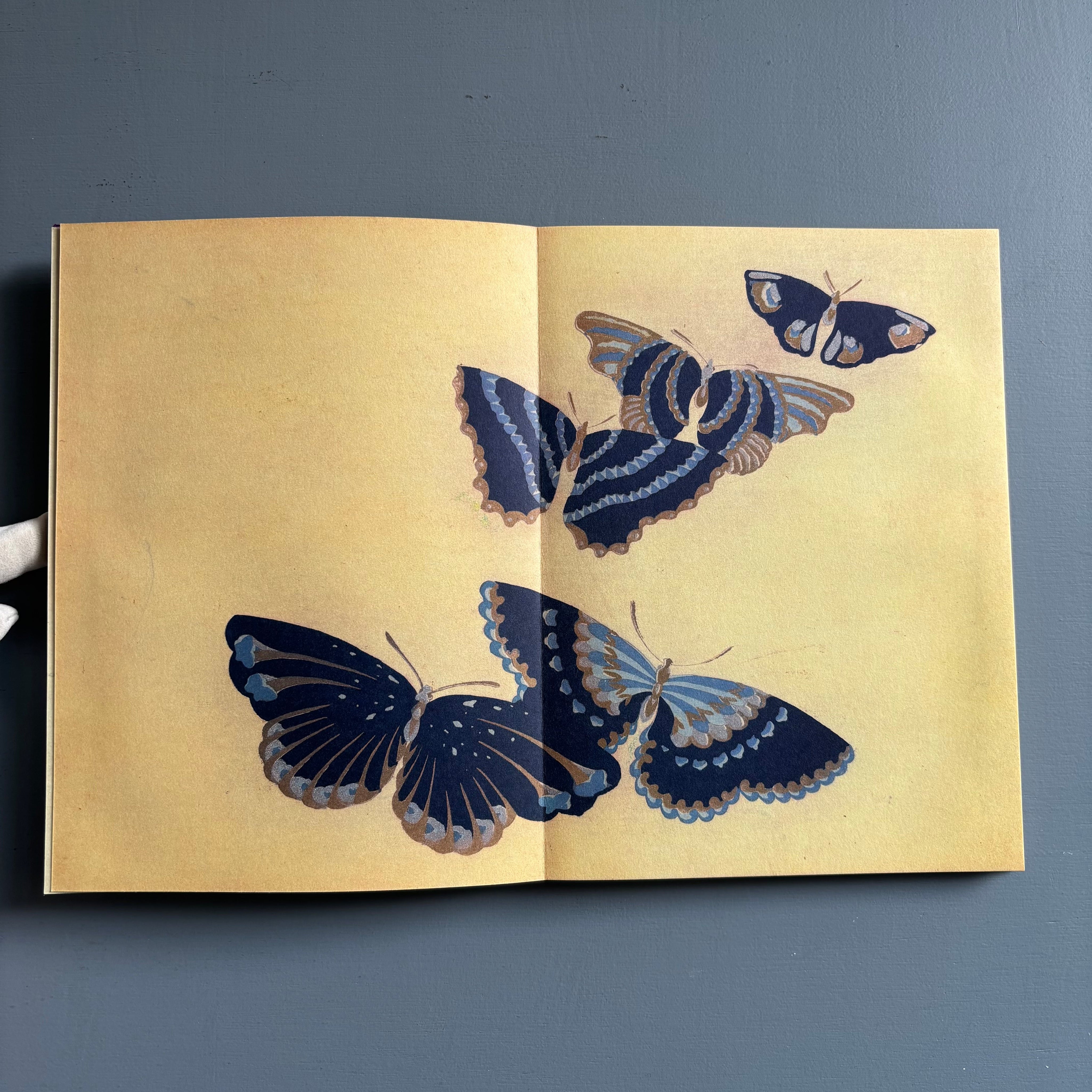A Flight of Butterflies - The Metropolitan Museum of Art/Thames