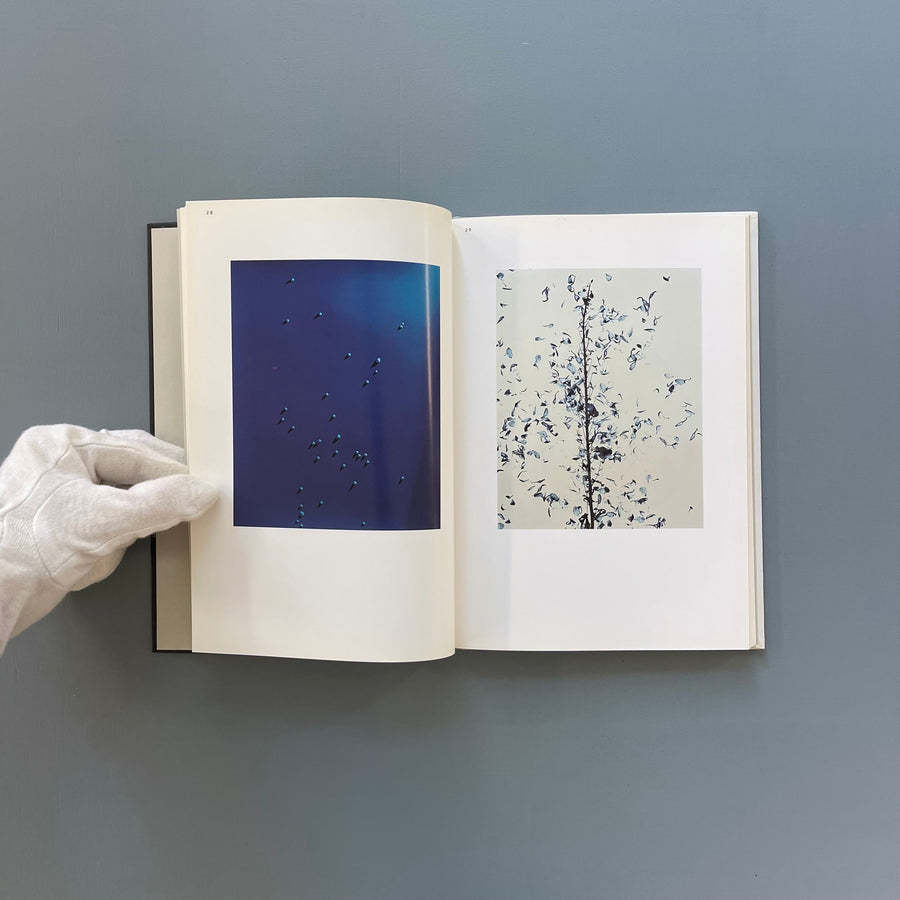 Adam Fuss (signed) - DAP 2003 - Saint-Martin Bookshop