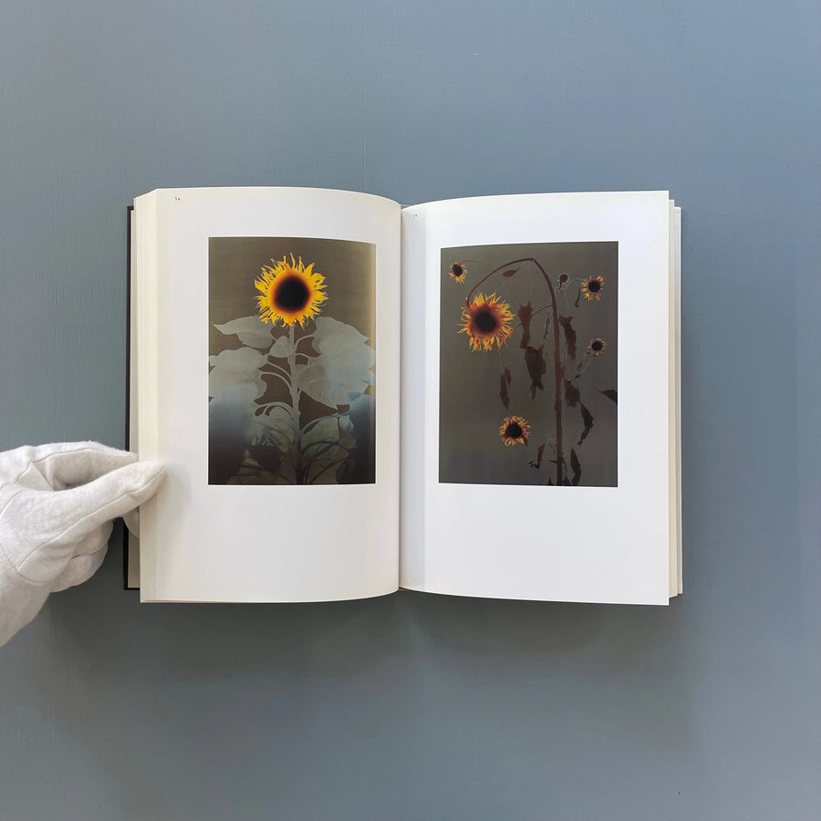 Adam Fuss (signed) - DAP 2003 - Saint-Martin Bookshop