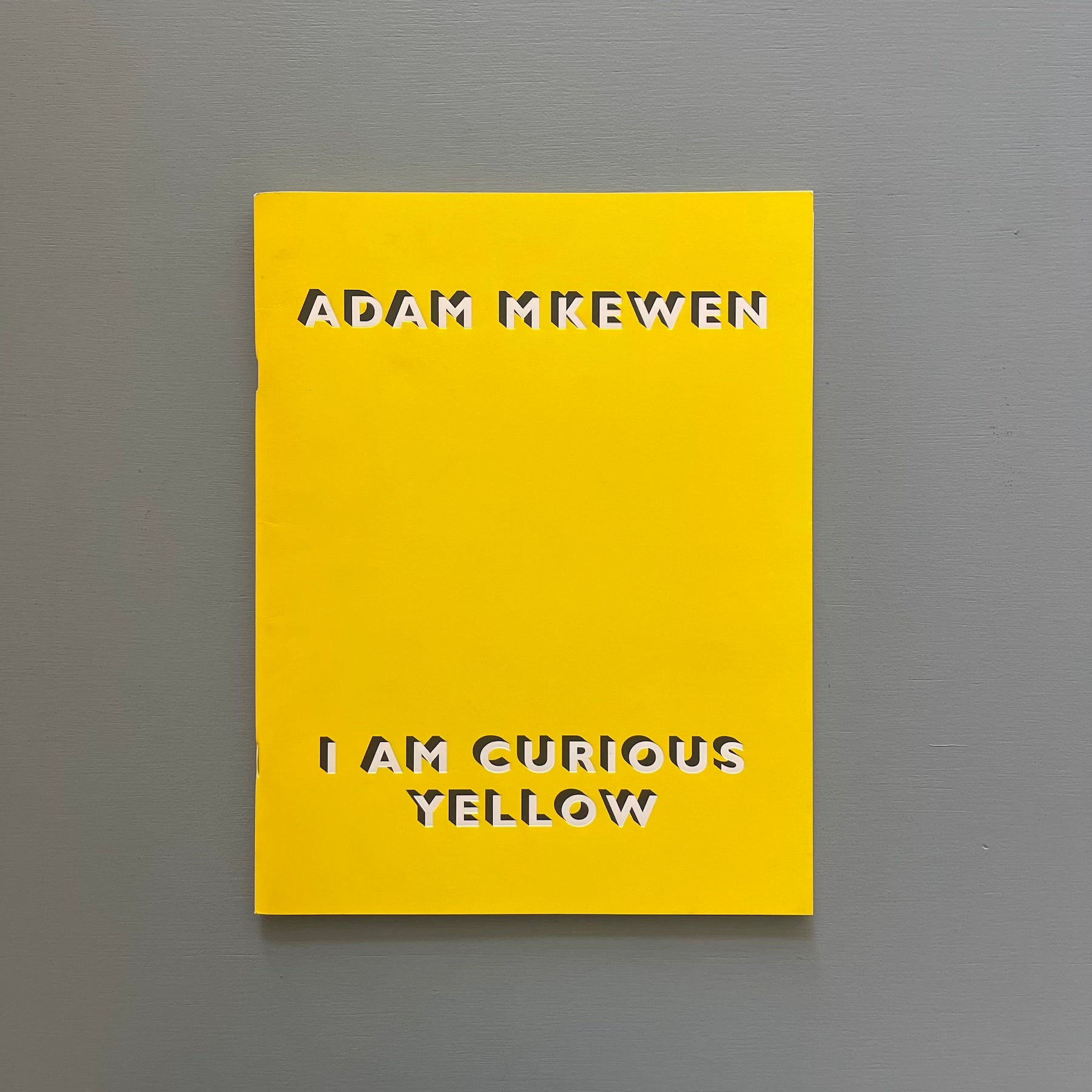 Adam McEwen - I am curious yellow - Nicole Klagsbrun Gallery 2010