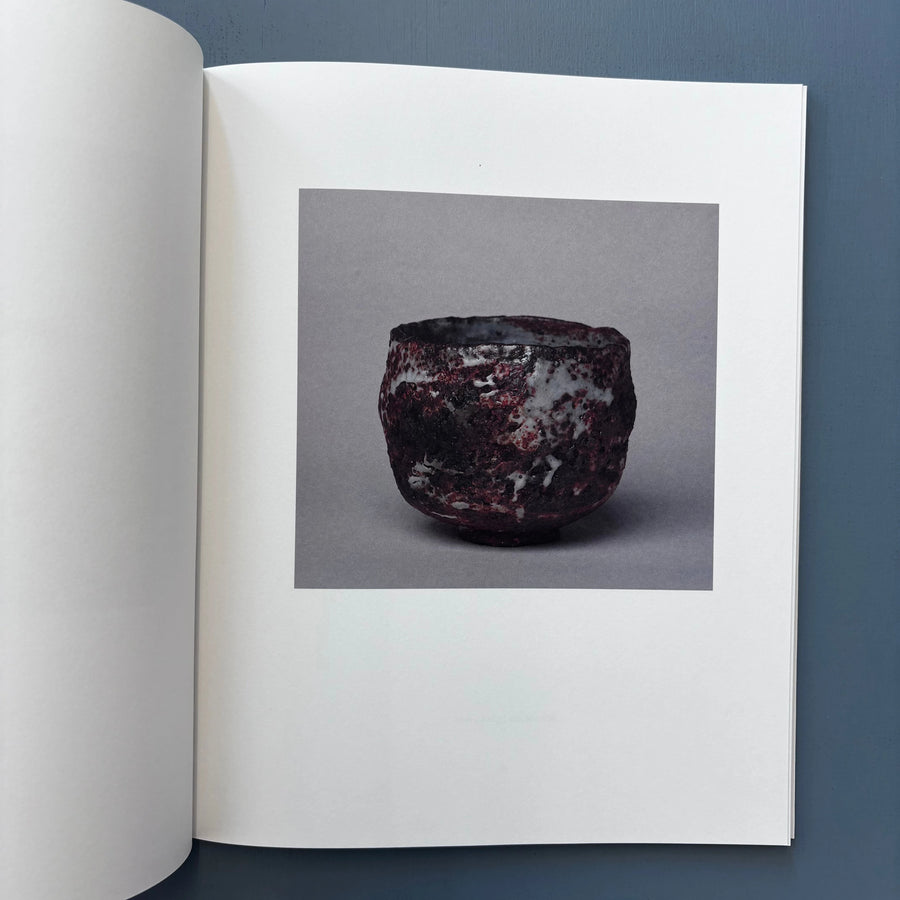 Alain Vernis - Pierre-Marie Giraud 2010 - Saint-Martin Bookshop