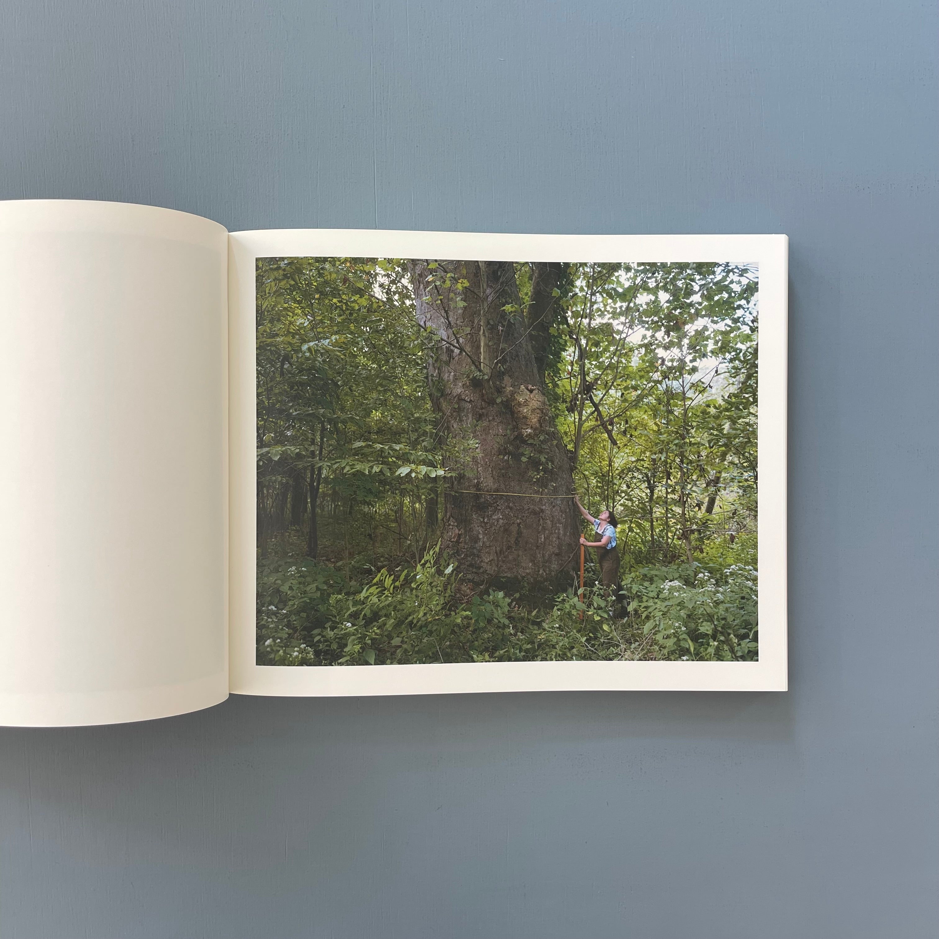 Alec Soth - A pound of pictures - Mack 2021 - Saint-Martin
