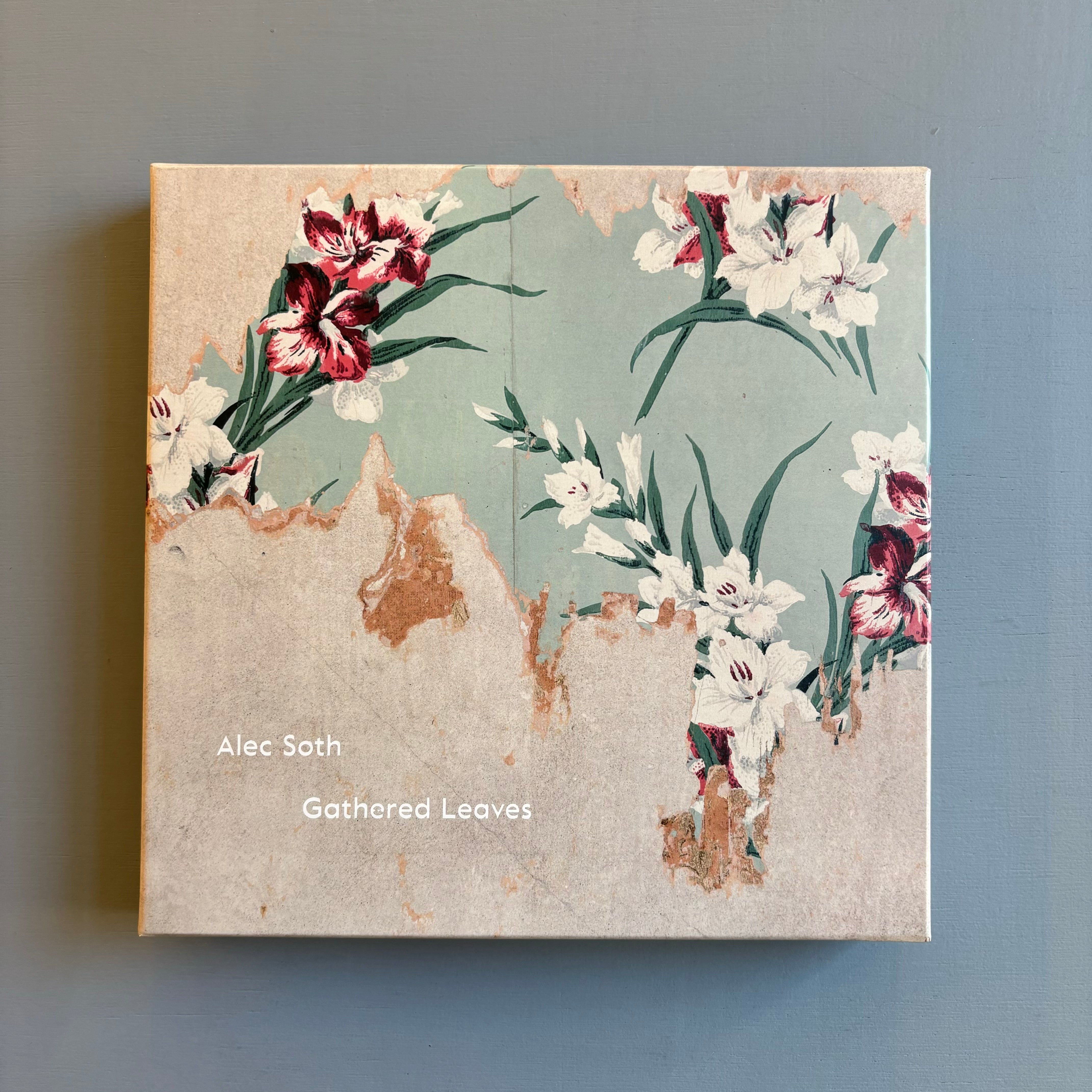 Alec-Soth-Gathered-Leaves-Mack