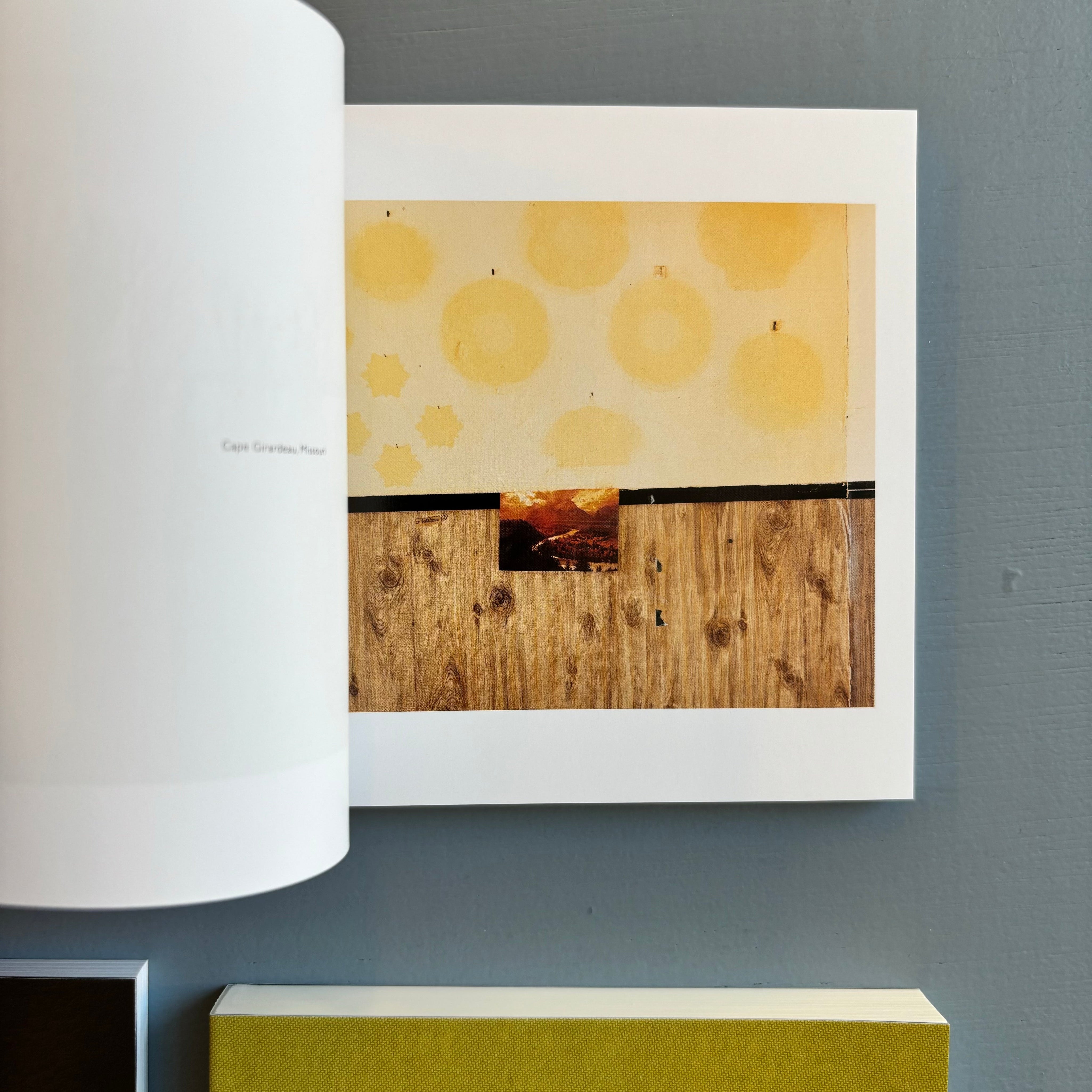 アート・デザイン・音楽 Alec Soth - Gathered Leaves - Mack 2015 Gathered Leaves – MACK