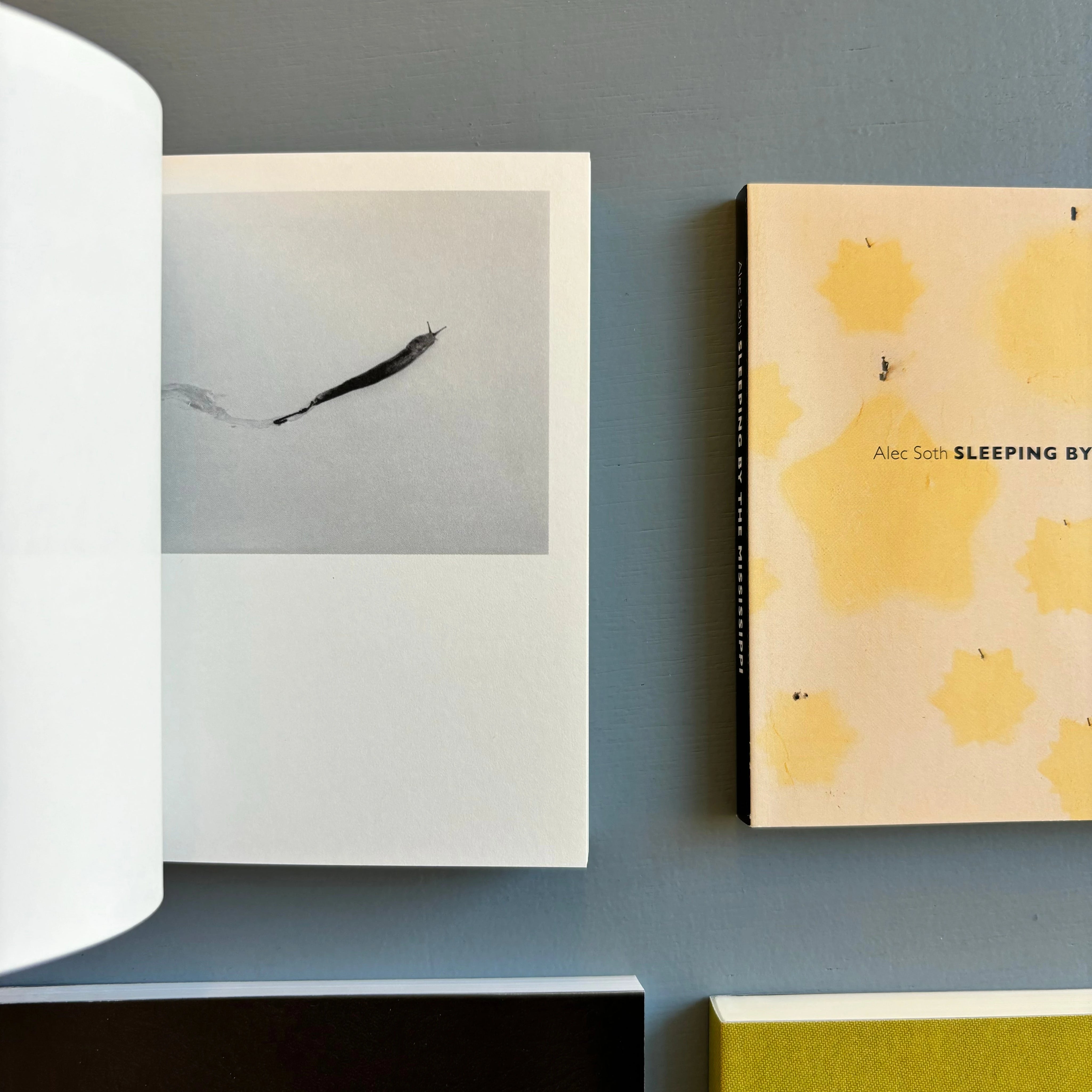 Alec-Soth-Gathered-Leaves-Mack