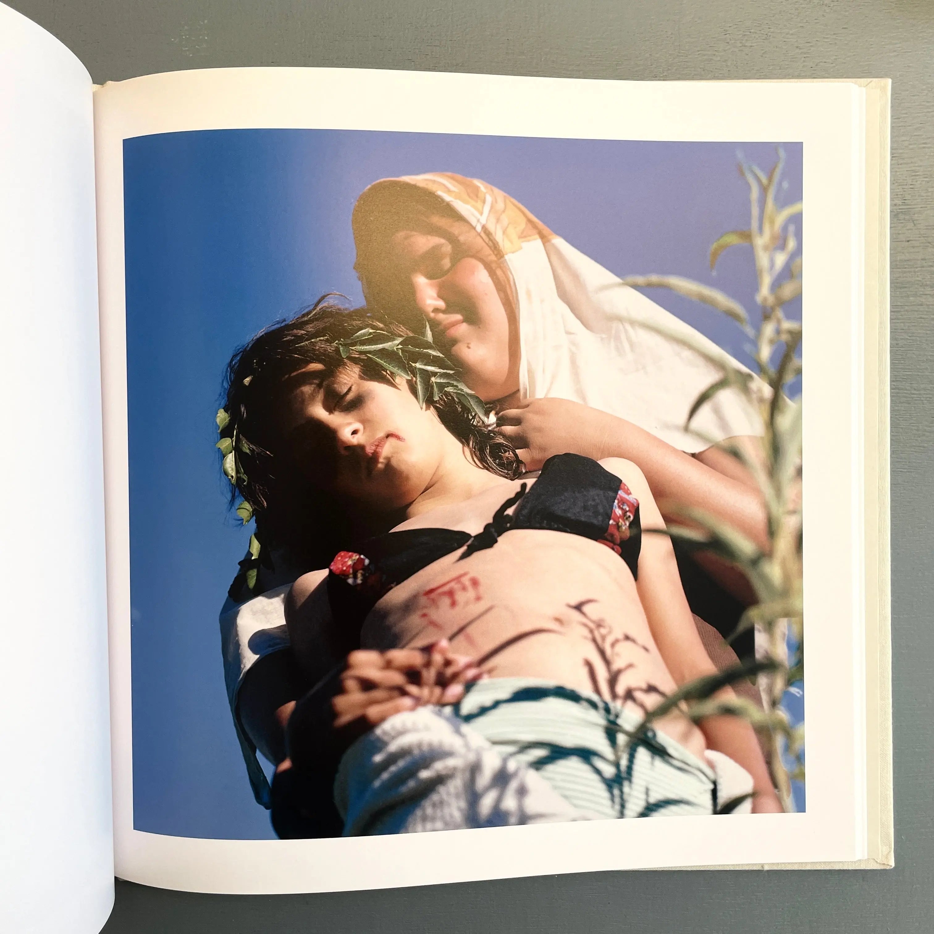 Alessandra Sanguinetti - The adventures of Guille - Saint-Martin