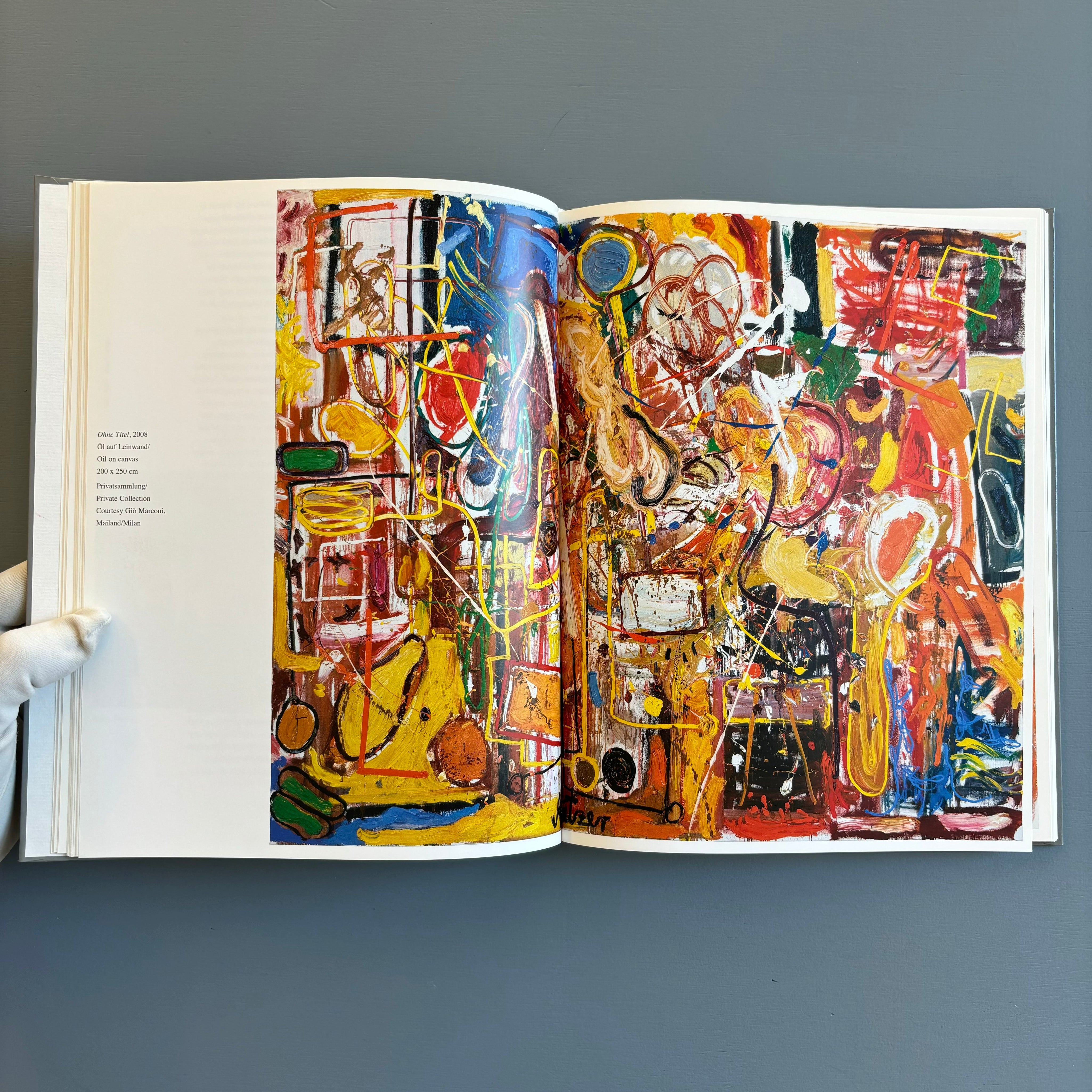 André Butzer - Kunsthalle Nürnberg/Kerber Art 2009 - Saint-Martin