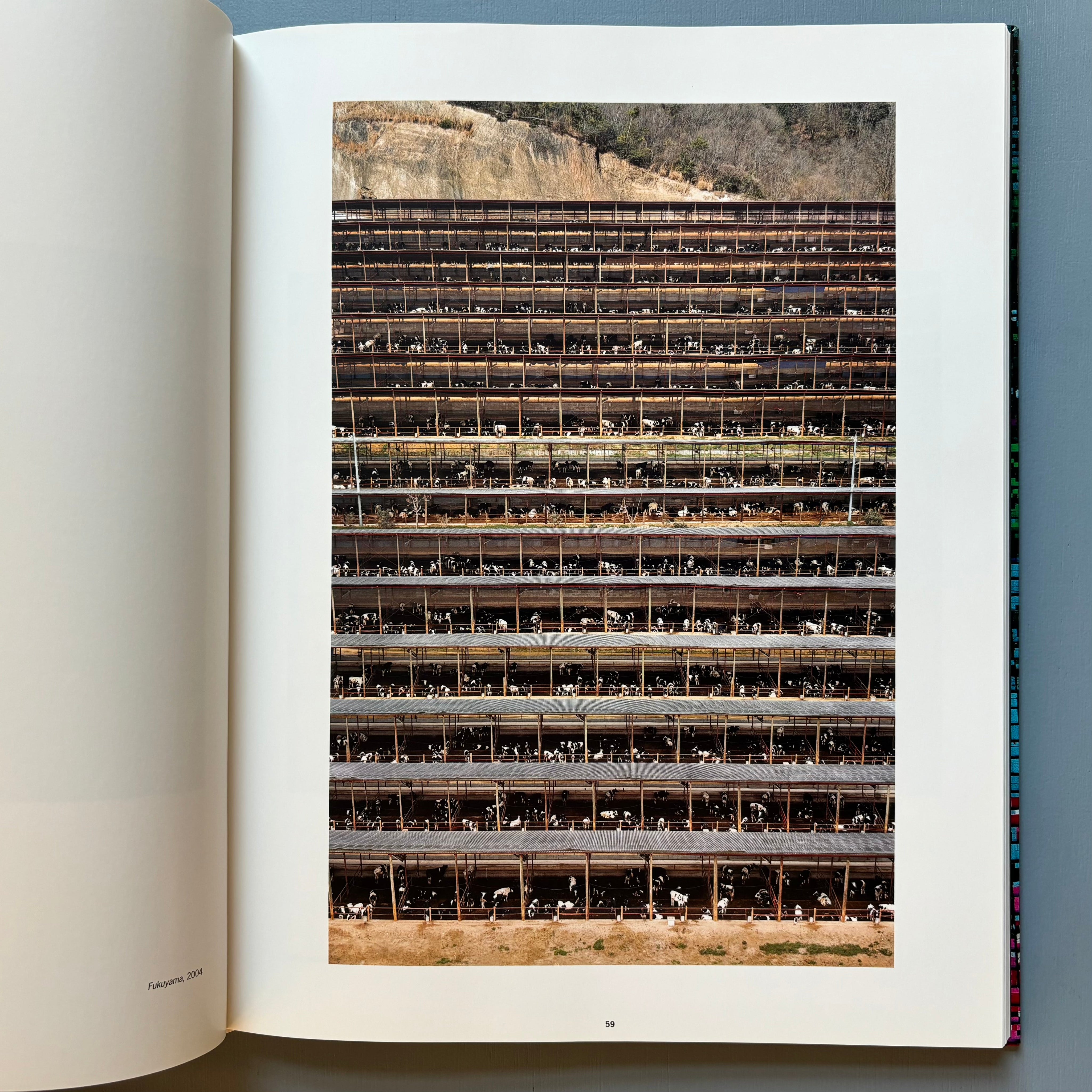 Andreas Gursky - Snoeck 2007 - Saint-Martin Bookshop