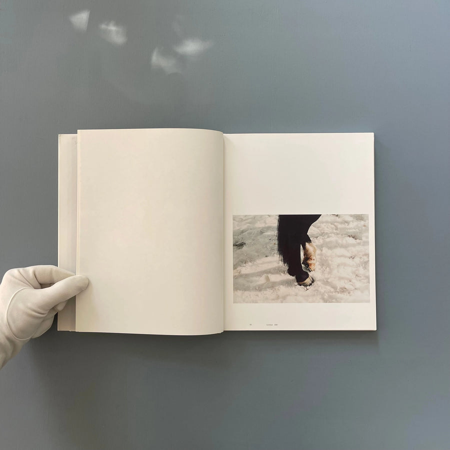 Annette Kelm - König 2009 - Saint-Martin Bookshop