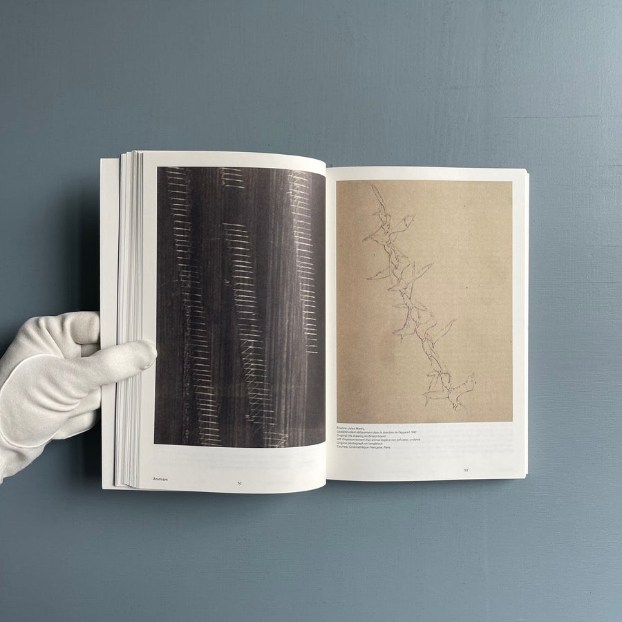 Anselm Franke - Animism - Sternberg Press 2010 - Saint-Martin Bookshop