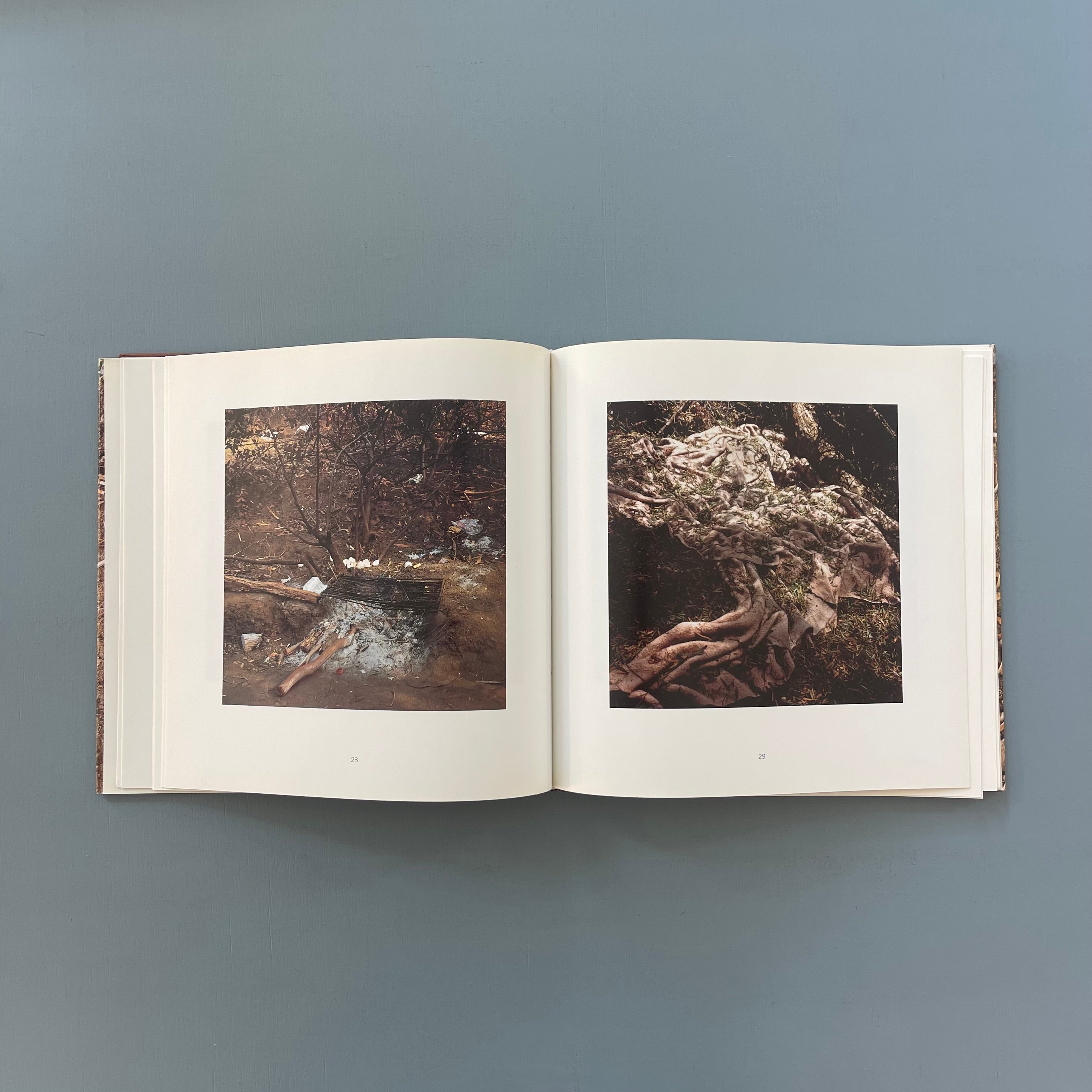 Anthony Hernandez (signed) - Landscapes for the homeless