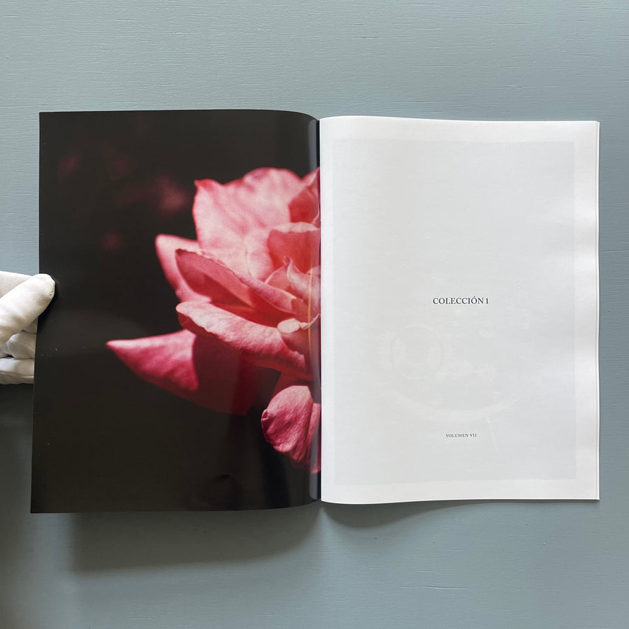 Antonio Menchen - Colección 1 - Volumen VII - 2024 - Saint-Martin Bookshop