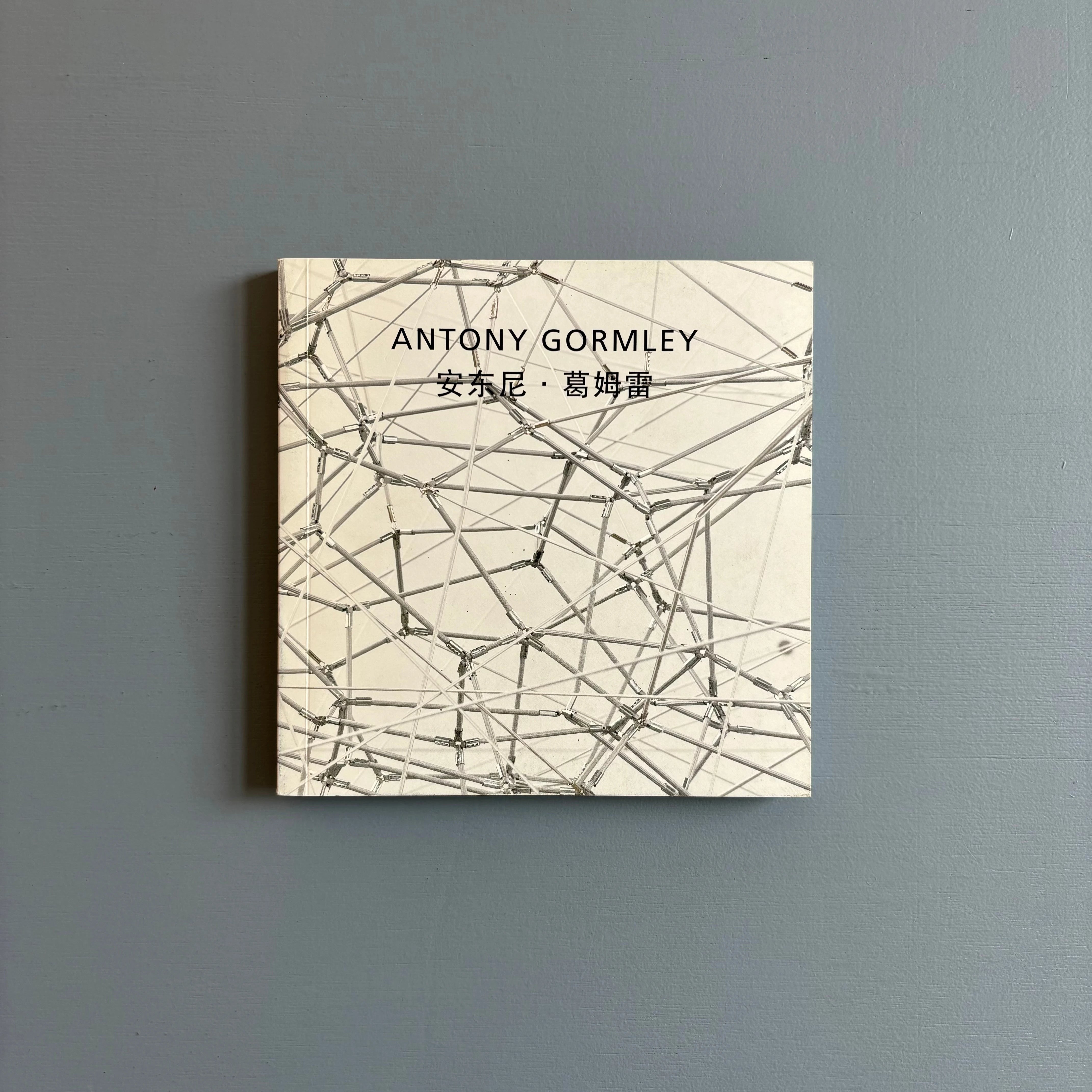 Antony Gormley - Another Singularity - Galleria Continua Beijing 2009 ...