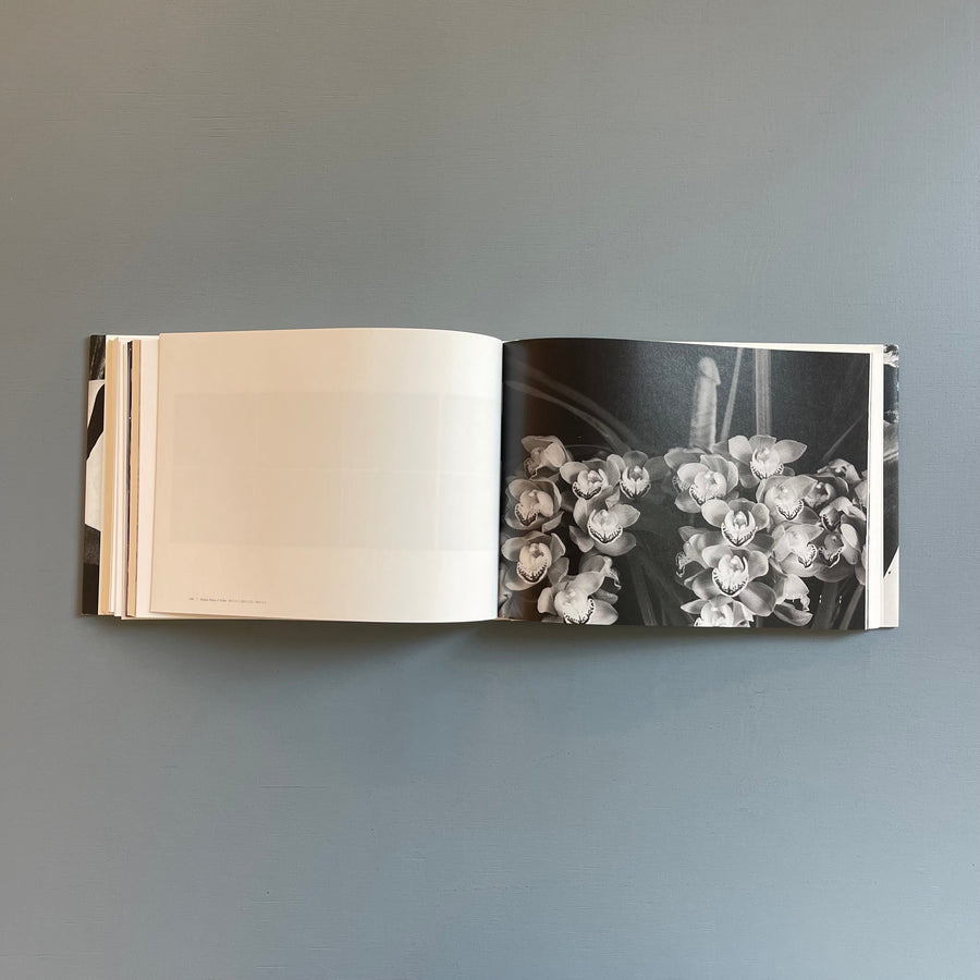 Araki Nobuyoshi - Sentimental Journey - Hehe 2017 - Saint-Martin Bookshop