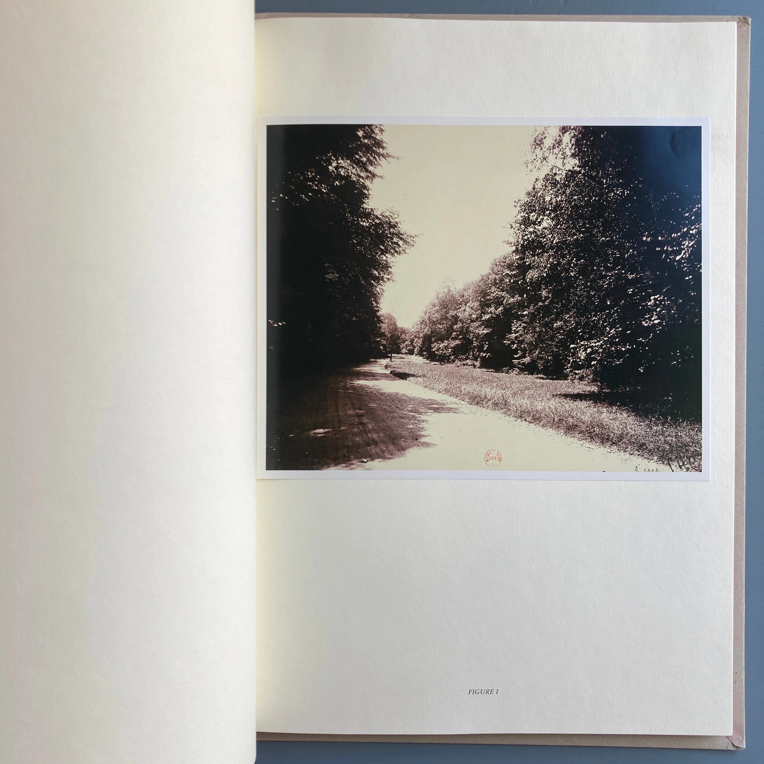 Arbres inédits d'Atget - Marval 2003 - Saint-Martin Bookshop