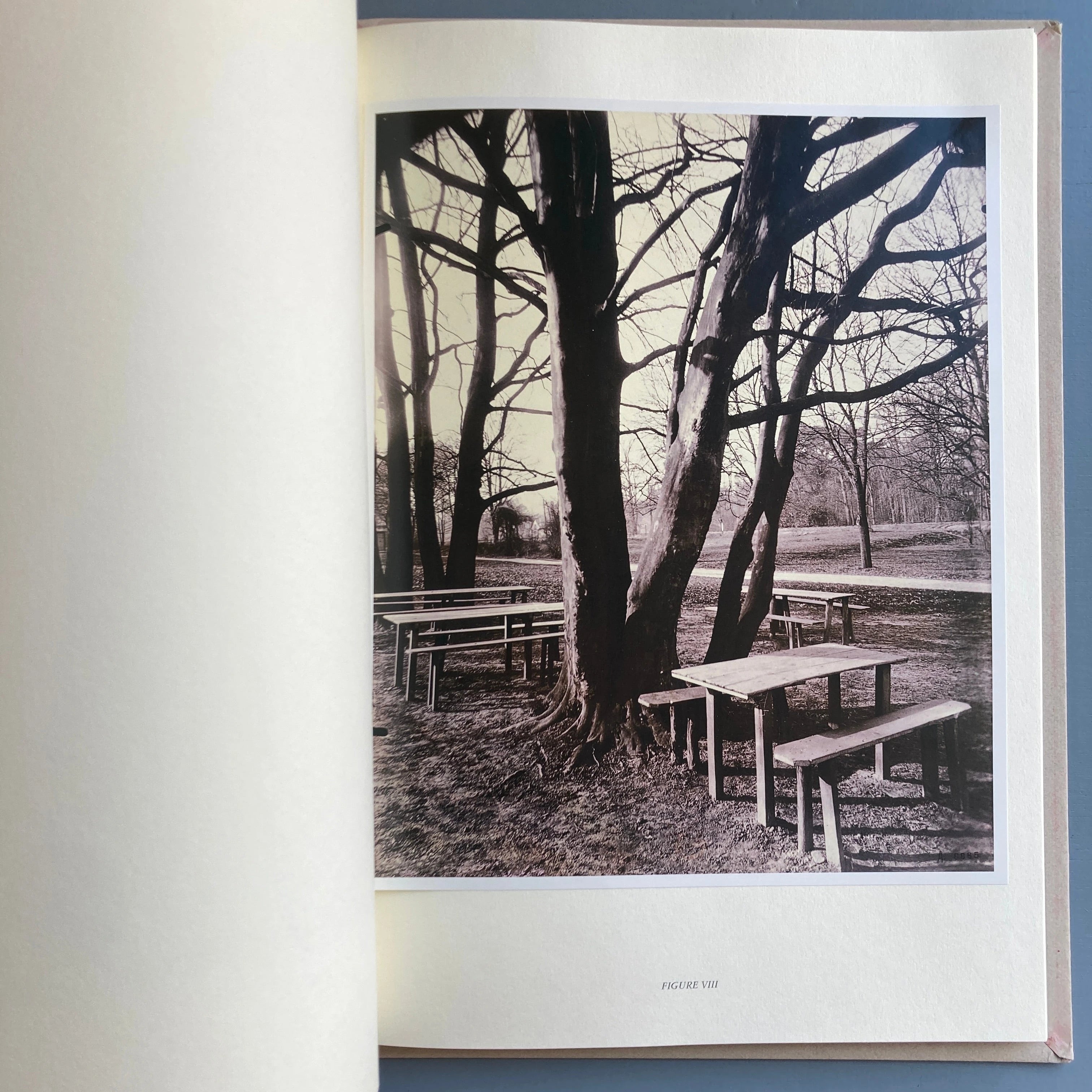 arbres majeurs d'Atget 大判アートブック Arbres inédits d'Atget - Marval 2003 - Saint-Martin Bookshop
