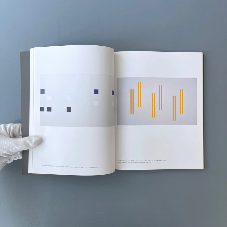 Art construit - Art concret - Musée de Cambrai 2007 - Saint-Martin Bookshop