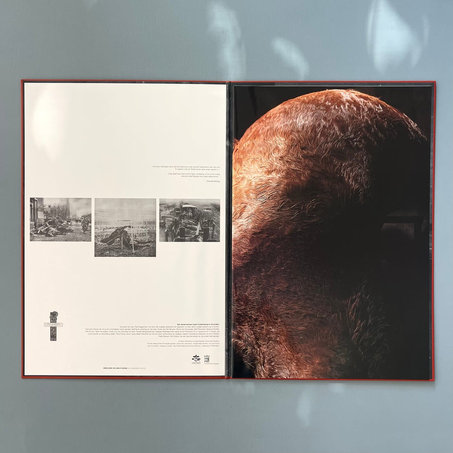 Berlinde De Bruyckere - In Flanders Fields - Flanders Fields Museum 2000 - Saint-Martin Bookshop
